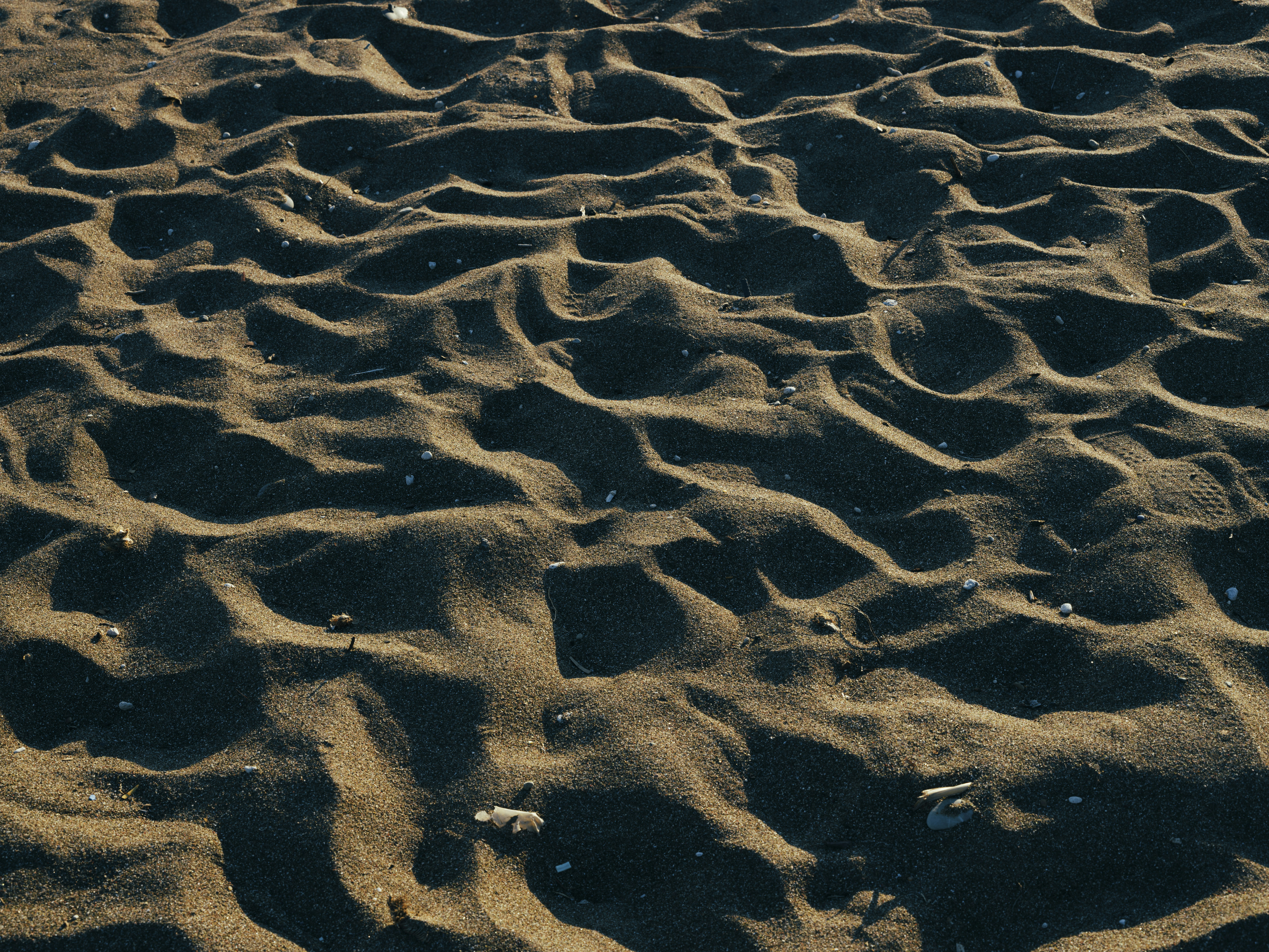 Photo by enginakyurt