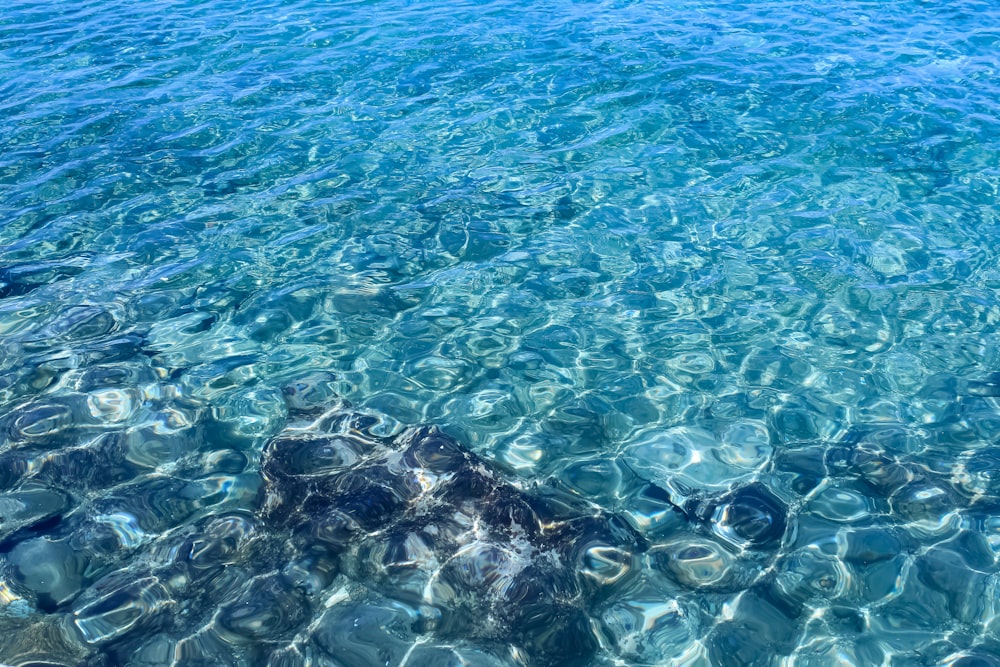 clear water with rocks