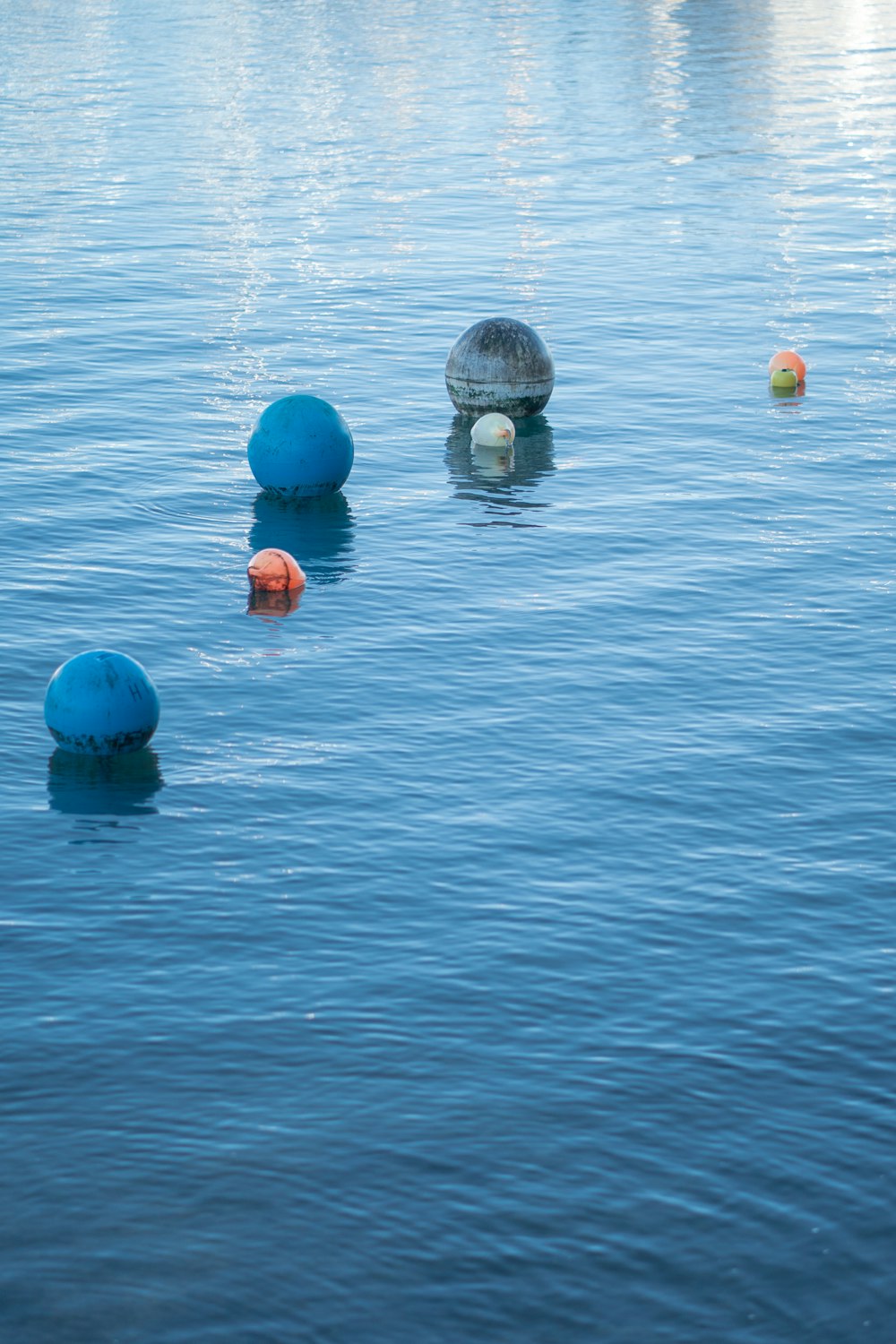 a group of balls floating in the water