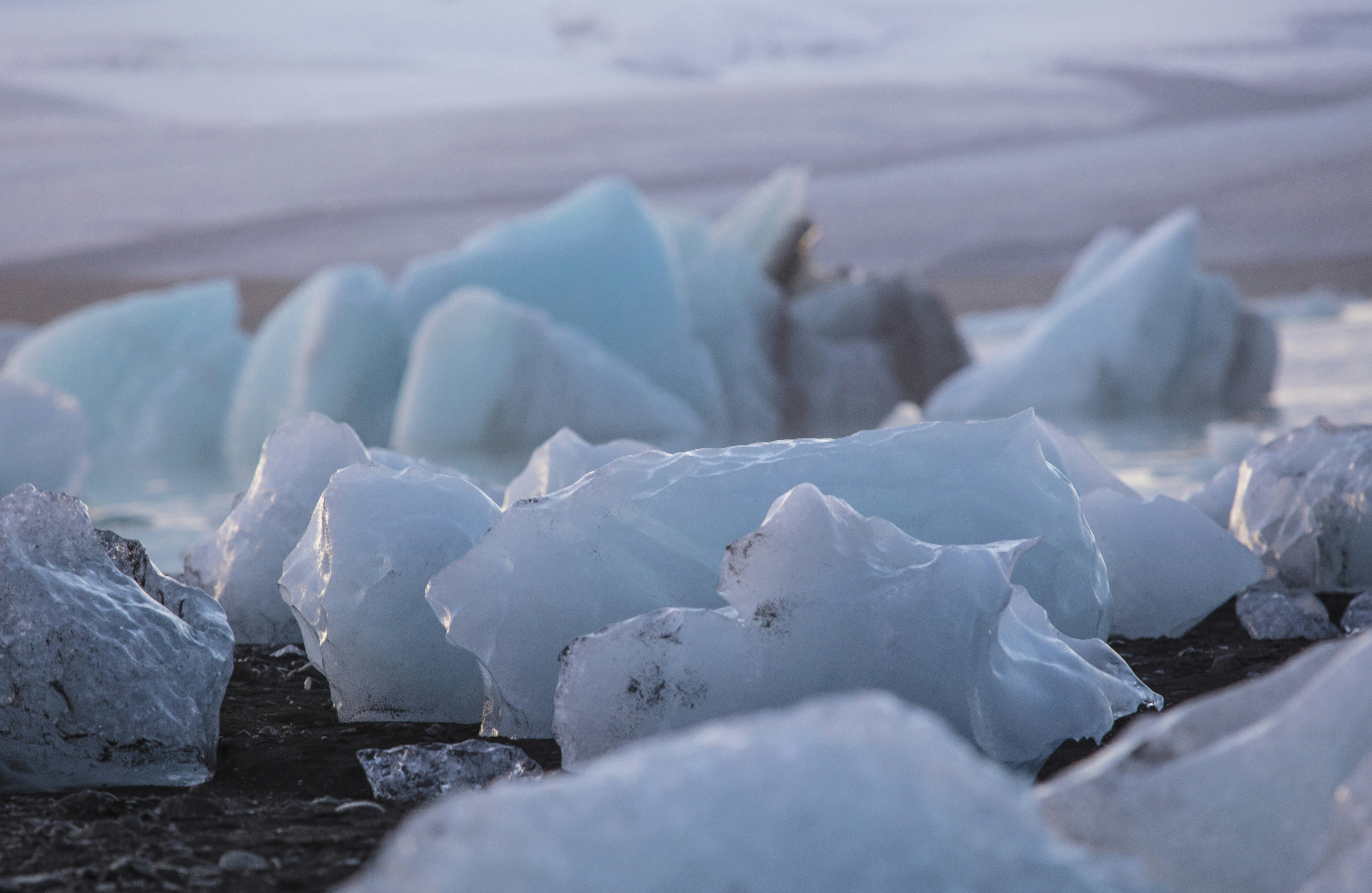 Photo by leo_visions_