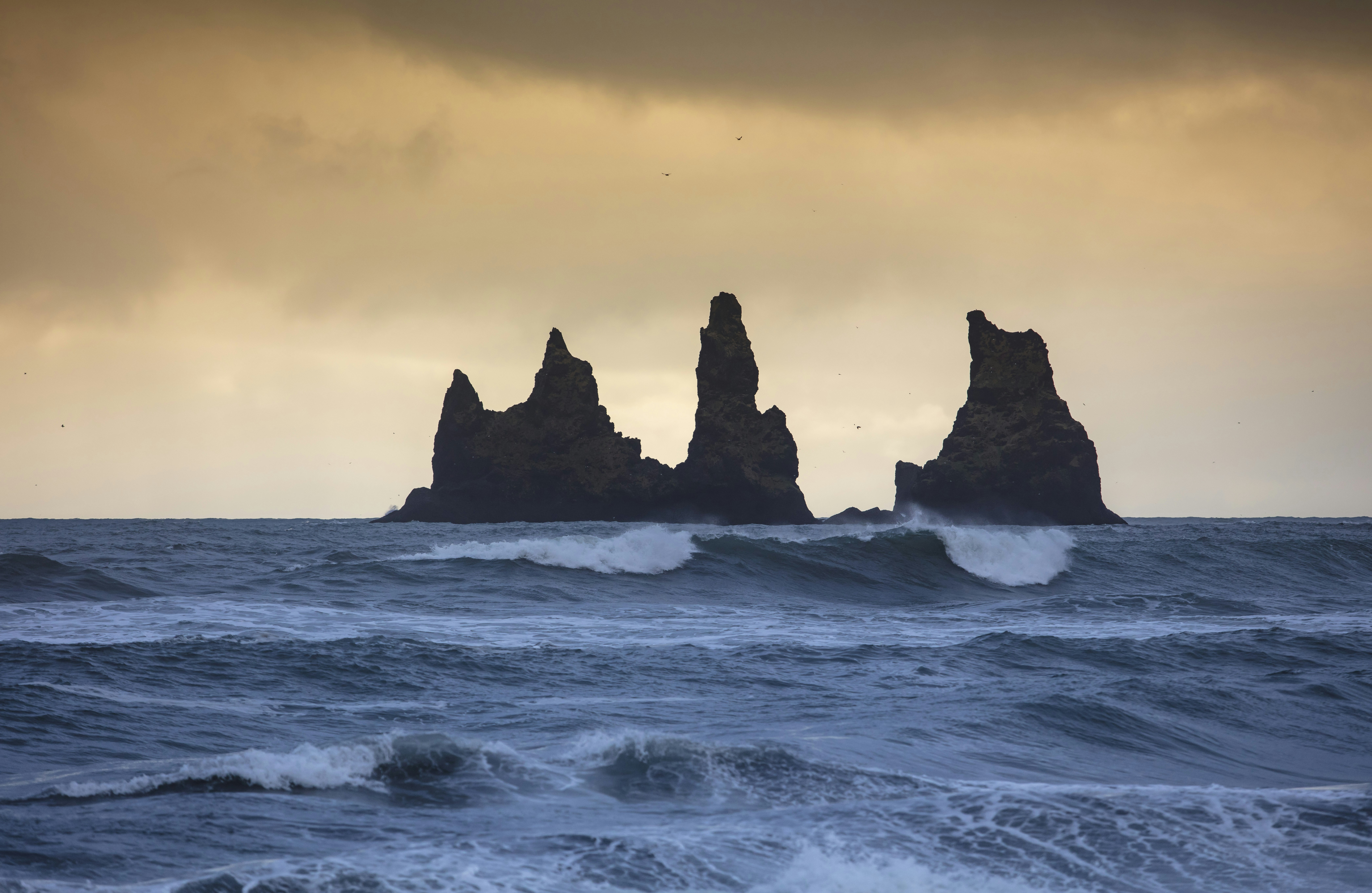 Photo by leo_visions_