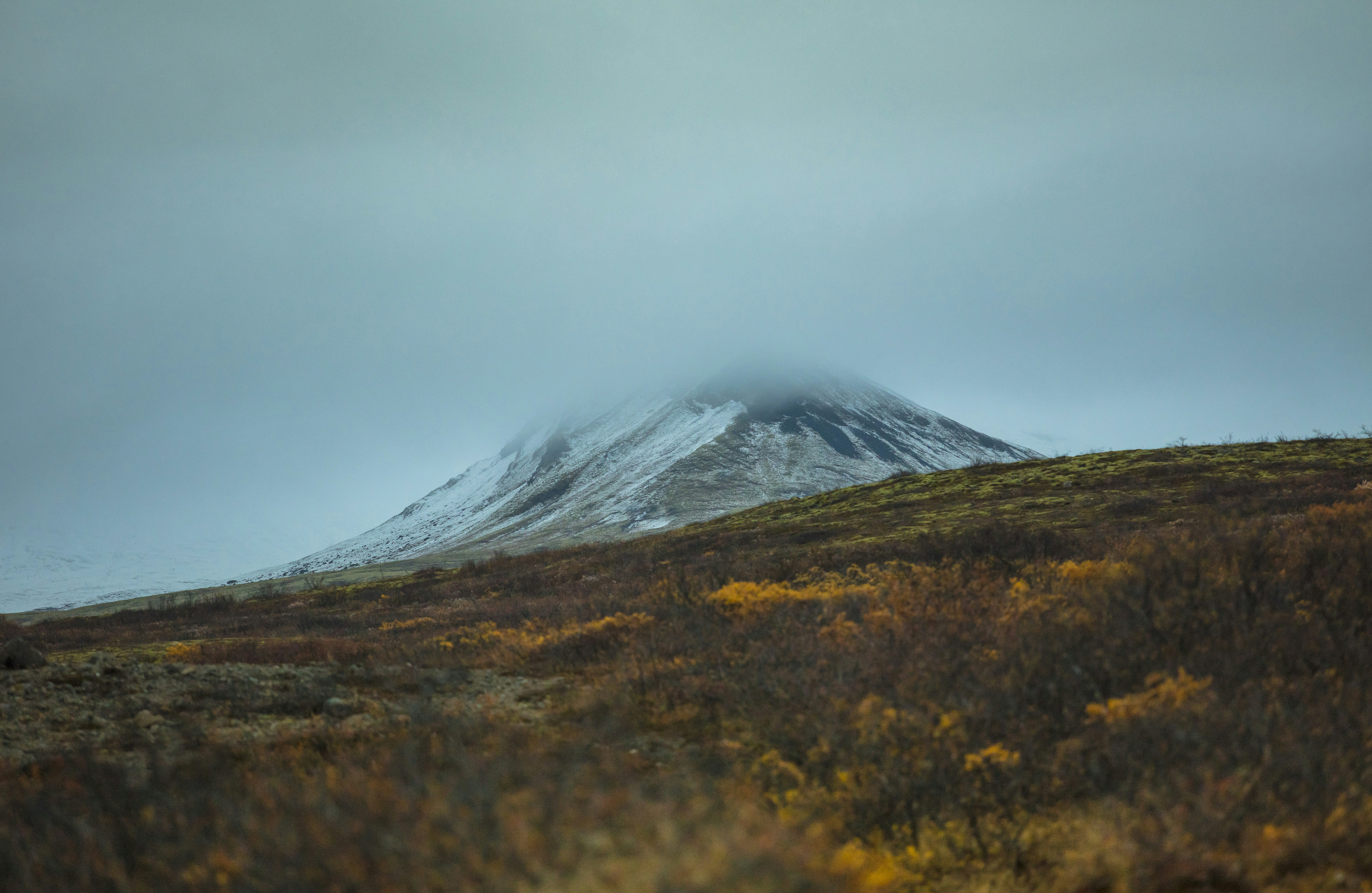 Photo by leo_visions_