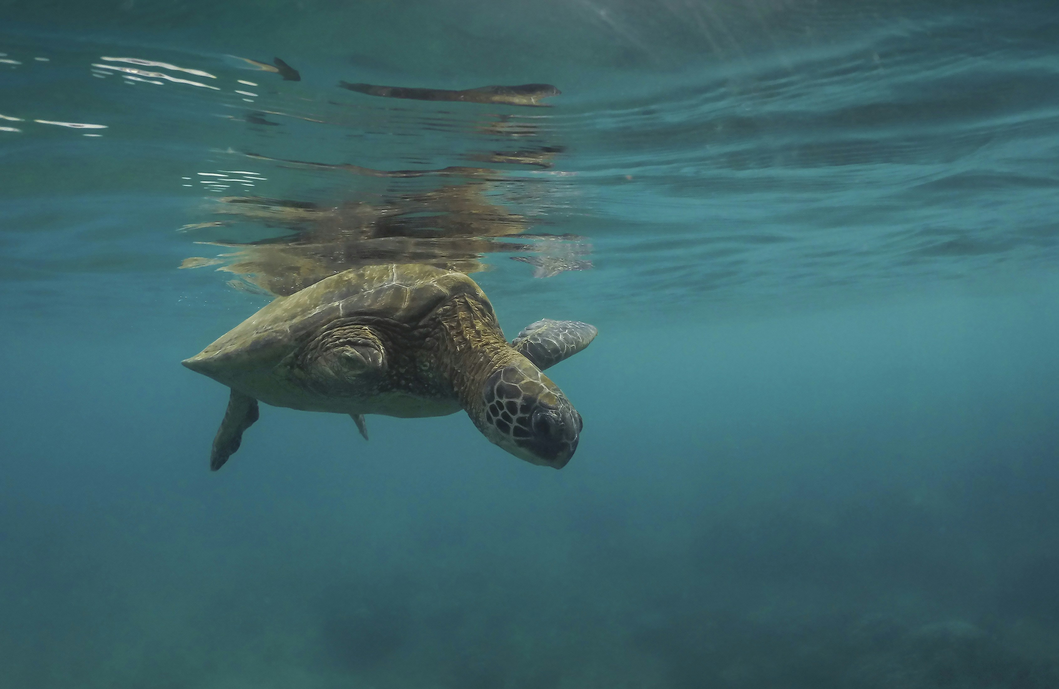 Photo by leo_visions_