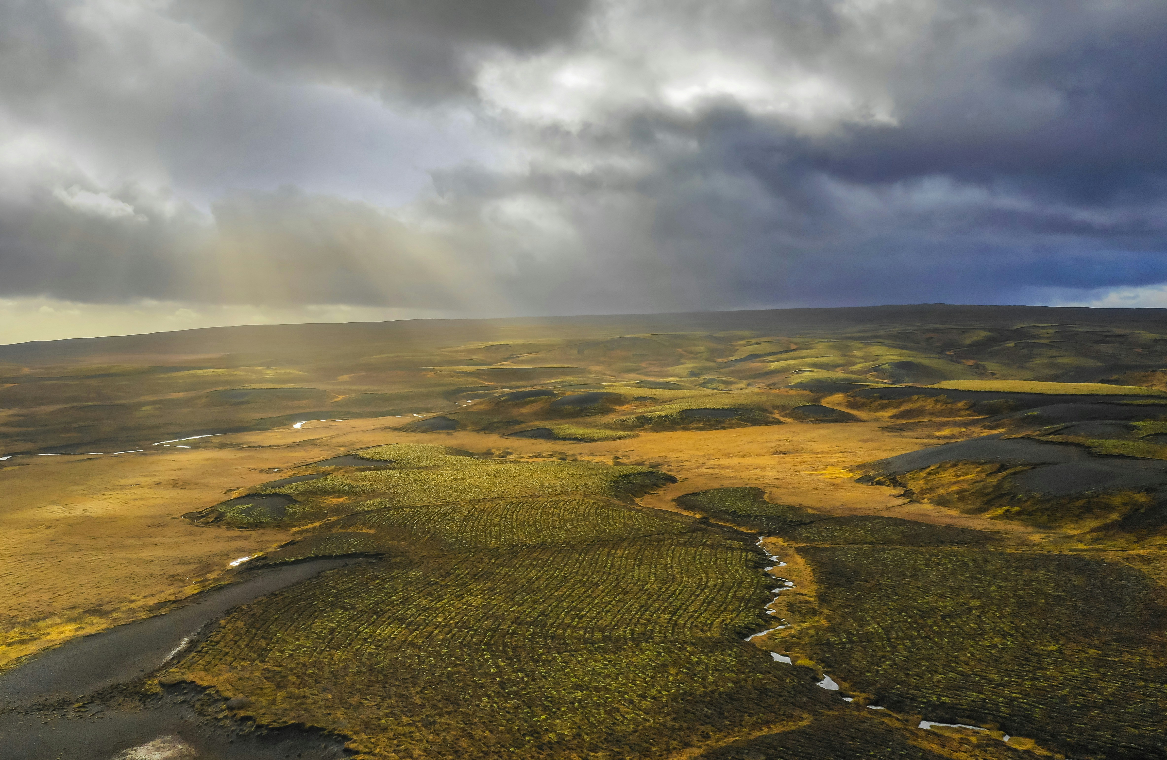 Photo by leo_visions_