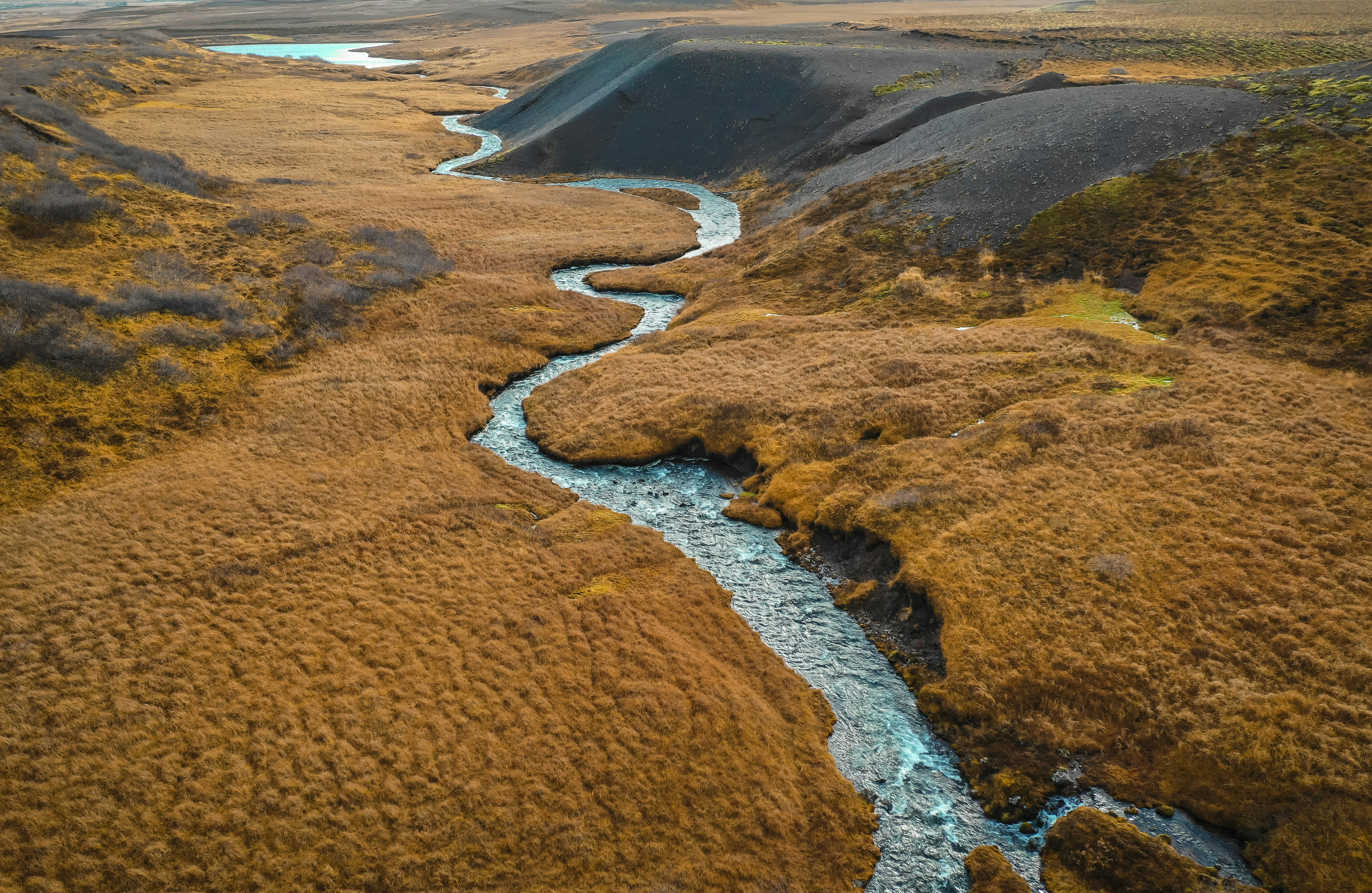 Photo by leo_visions_