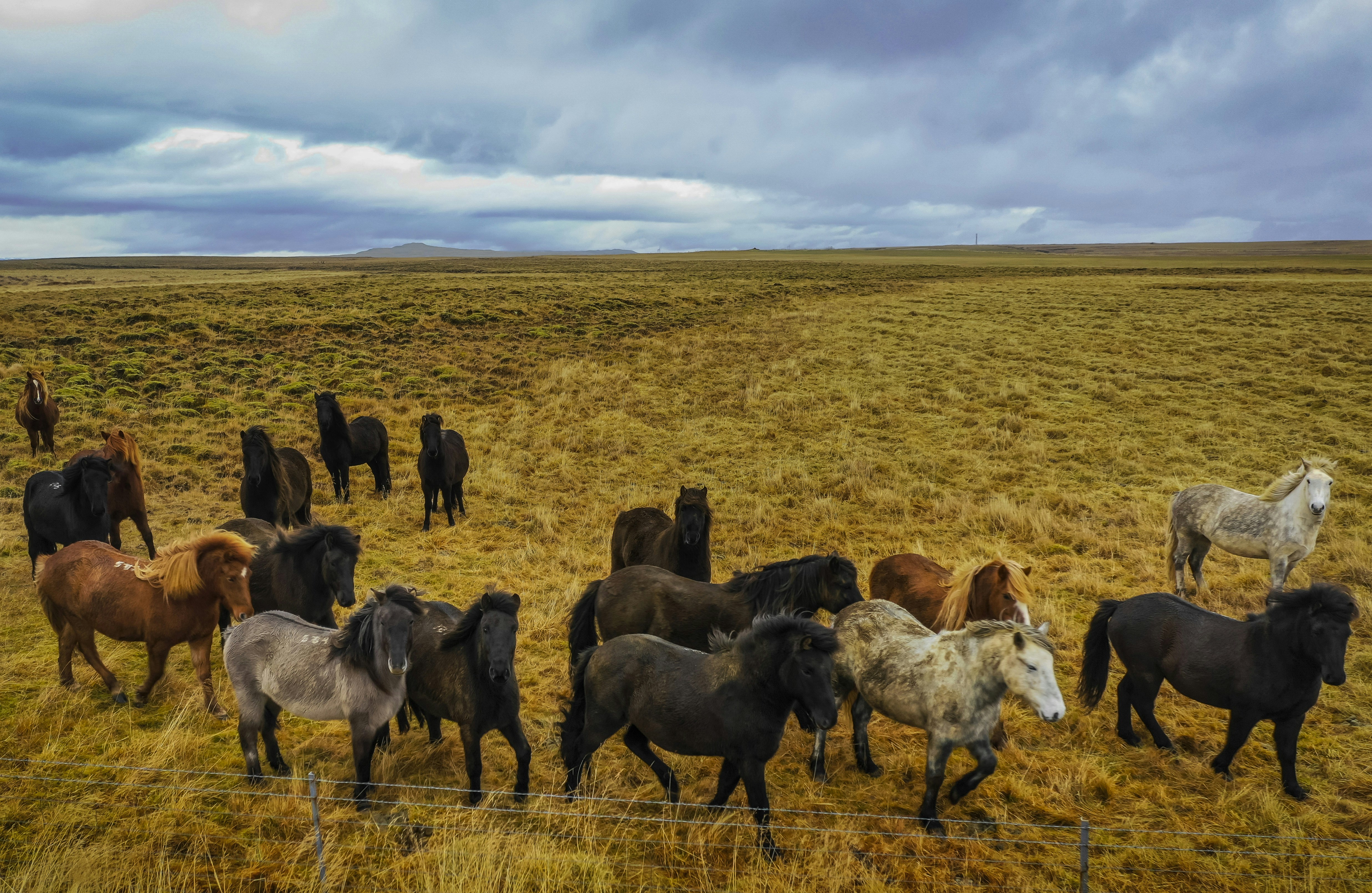 Photo by leo_visions_