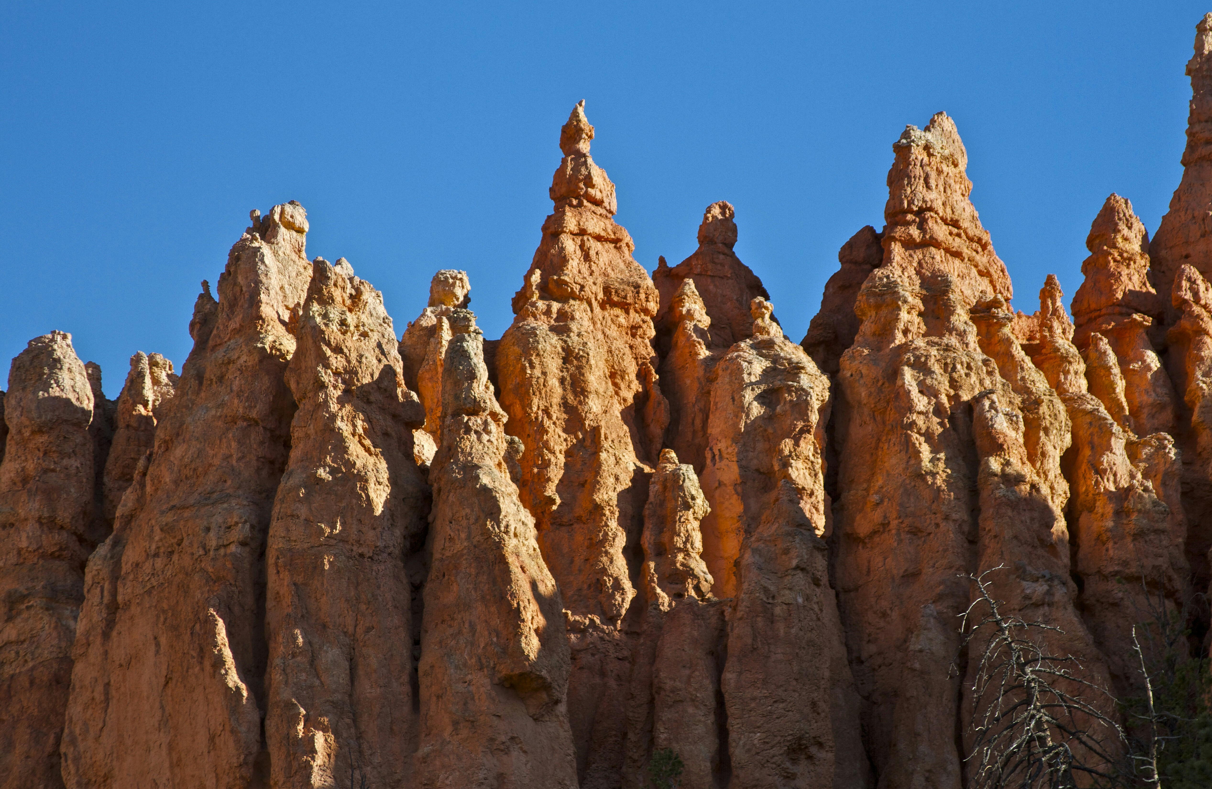 Photo by leo_visions_