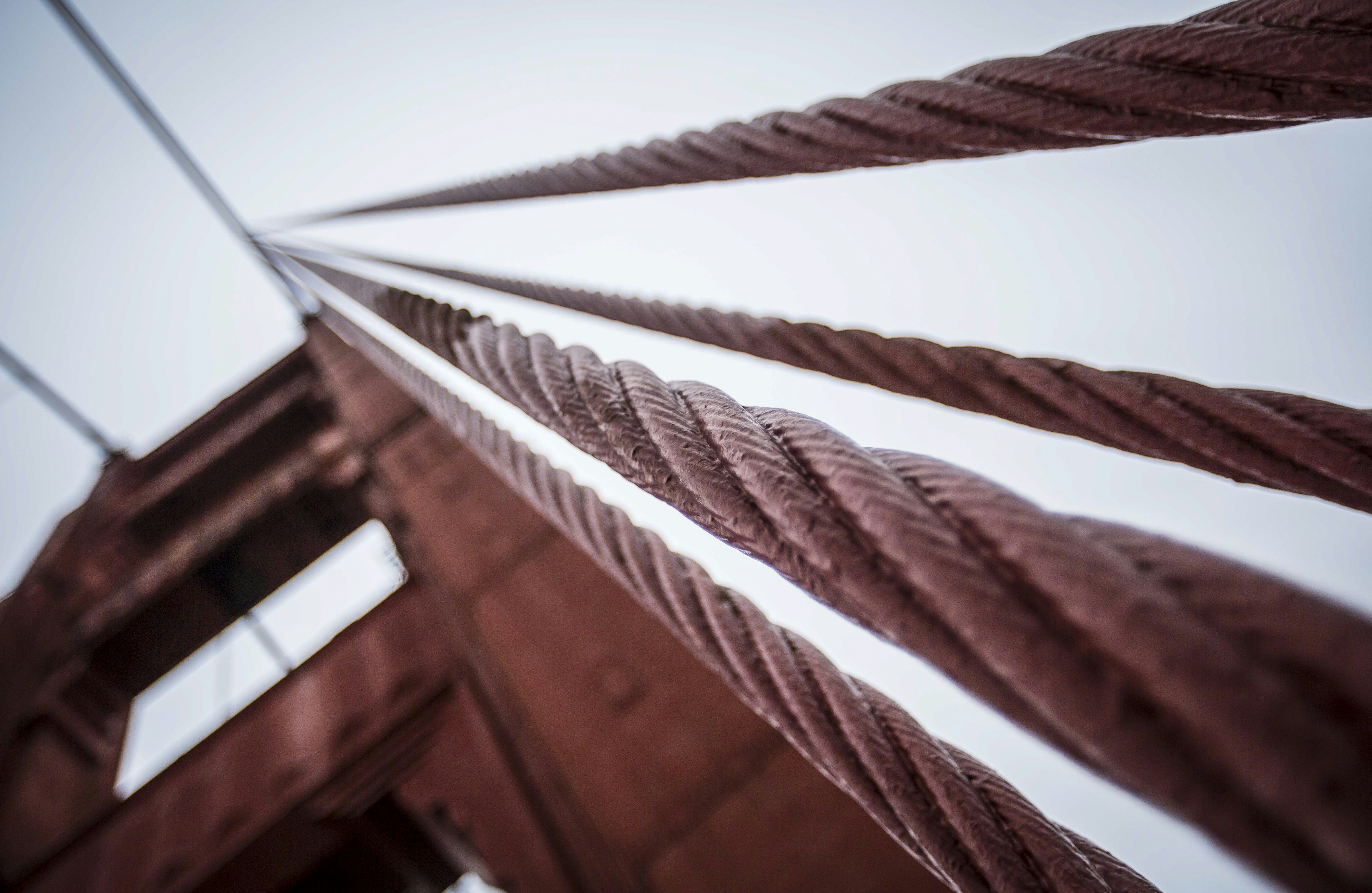 Photo by leo_visions_