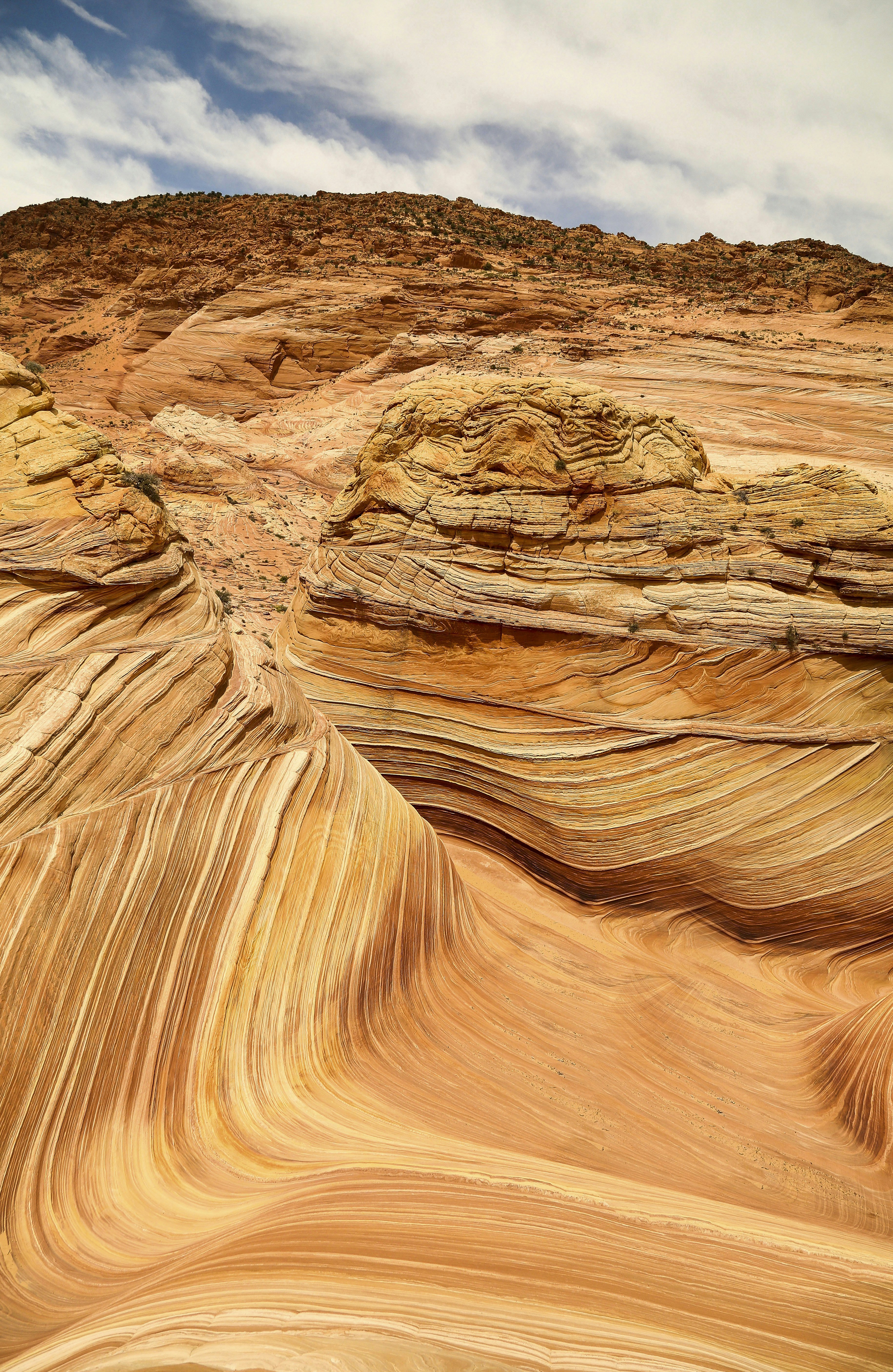 Photo by leo_visions_