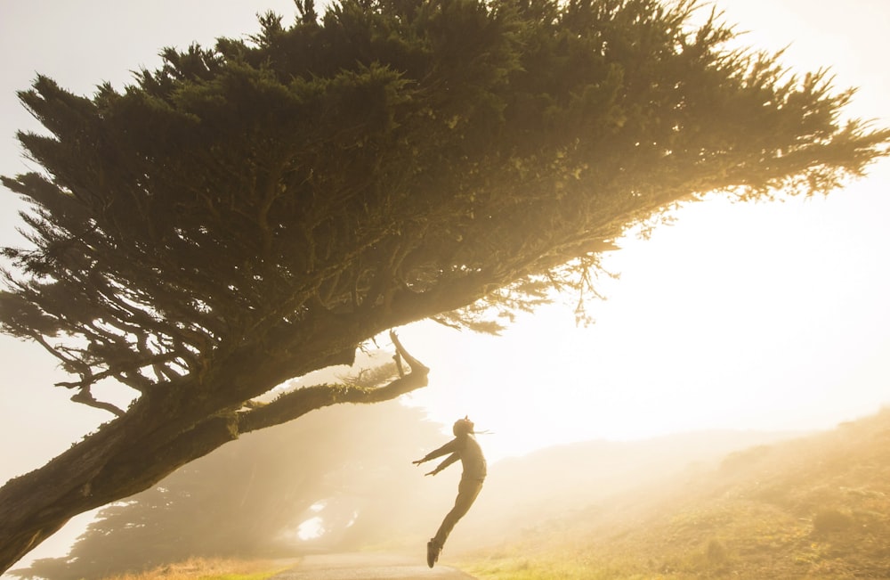 a man running under a tree