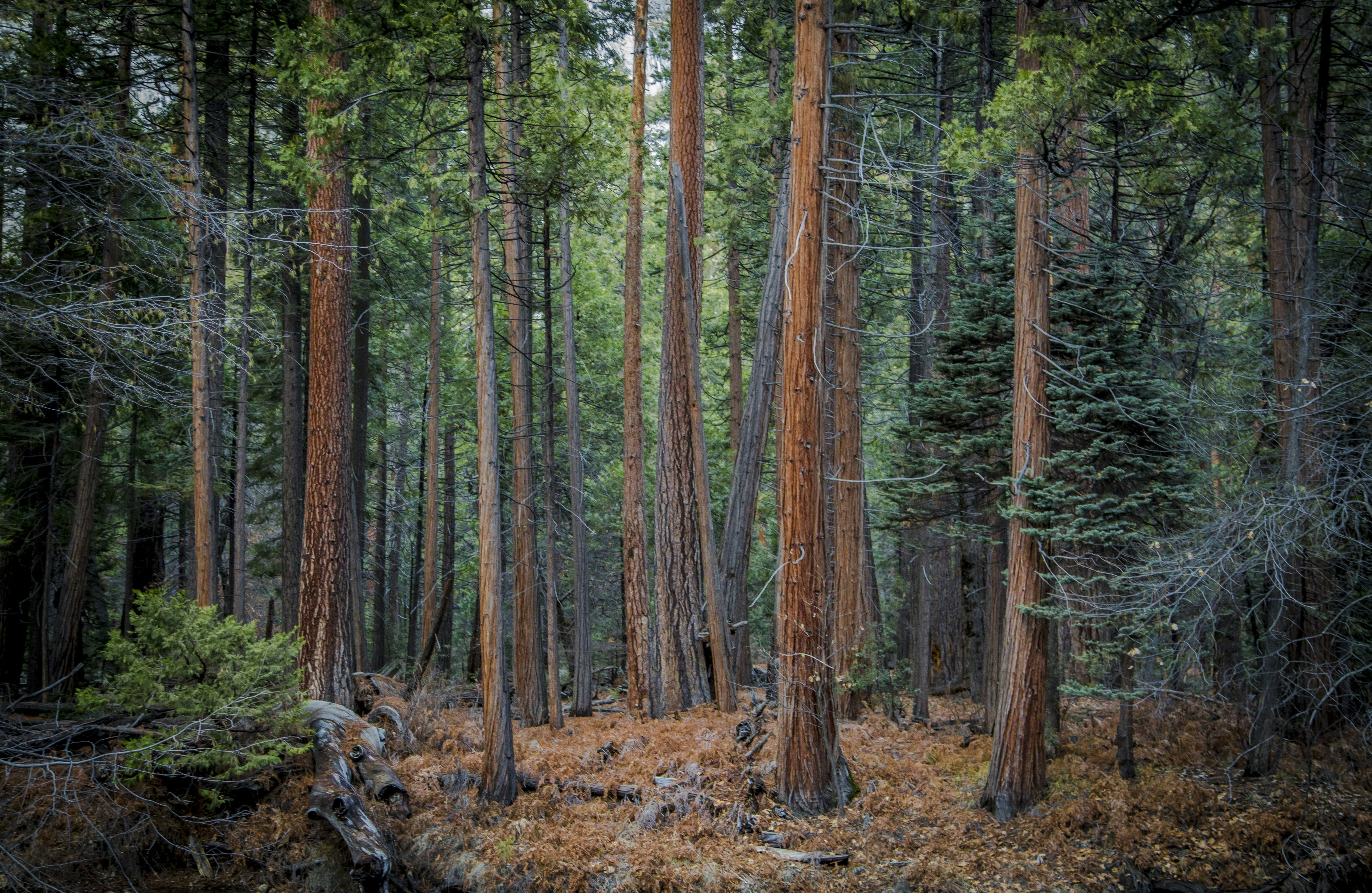 Photo by leo_visions_