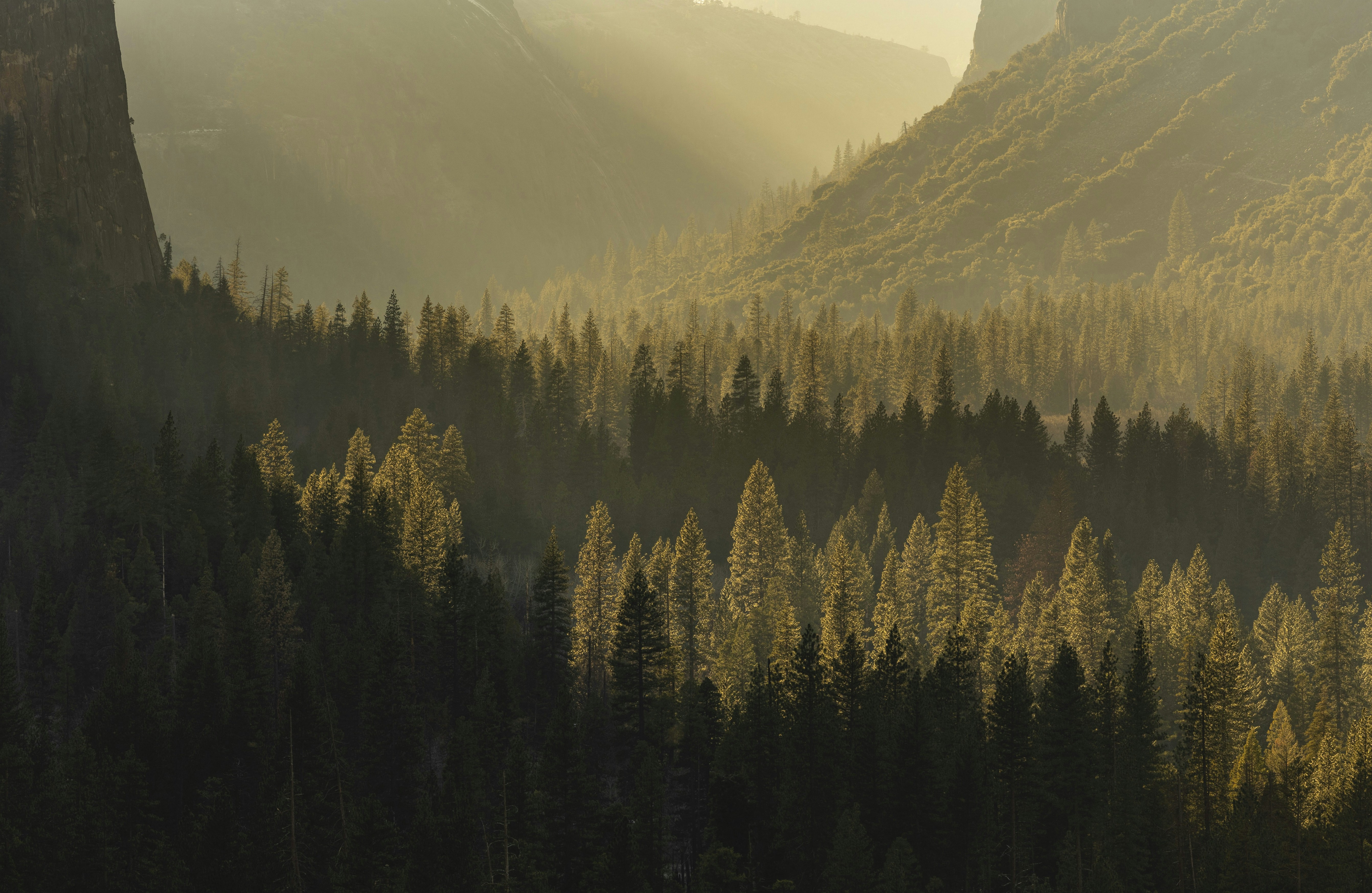 Photo by leo_visions_