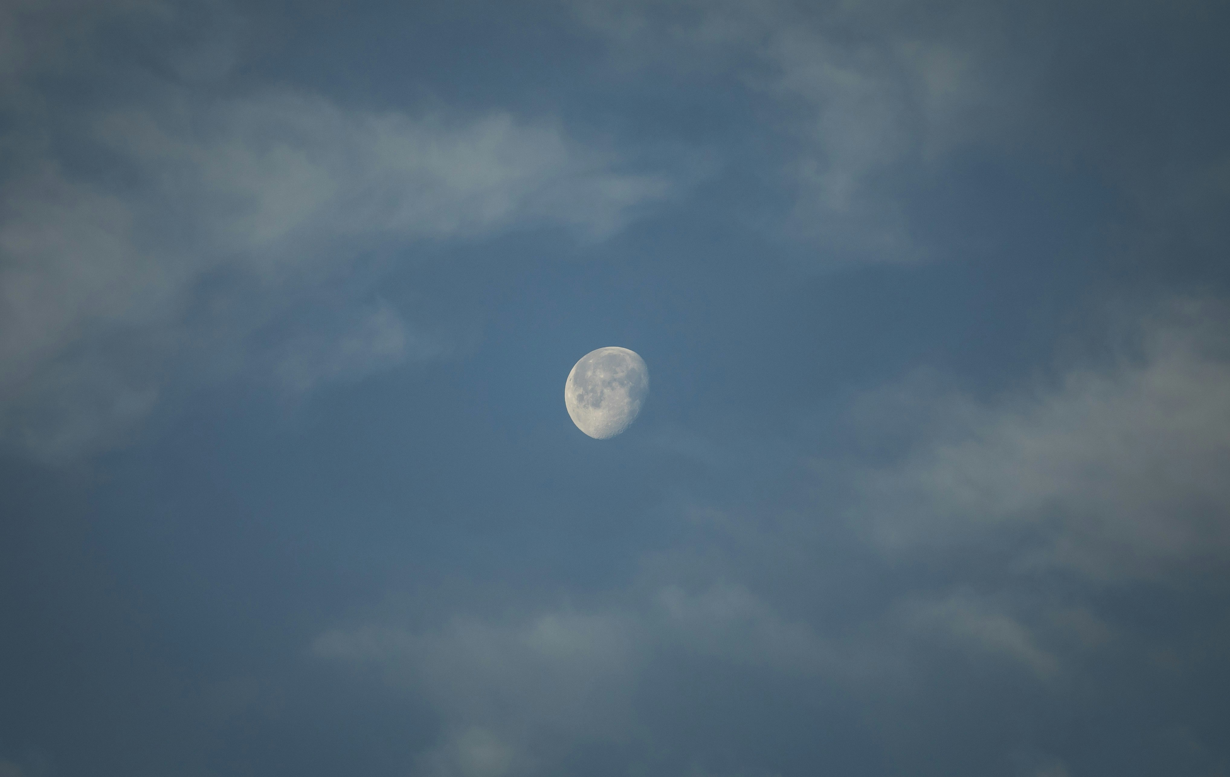 Photo by leo_visions_