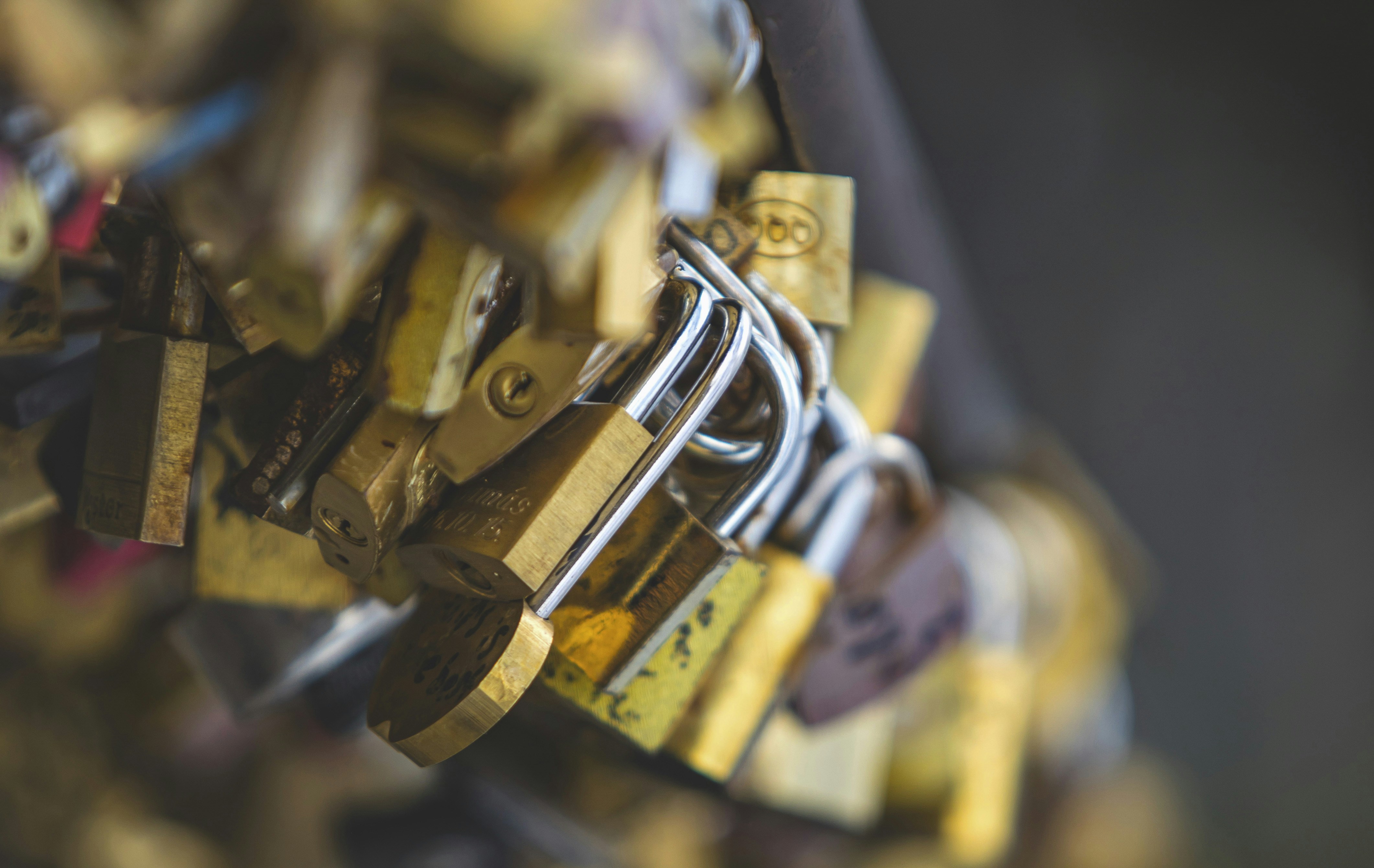 Photo by leo_visions_