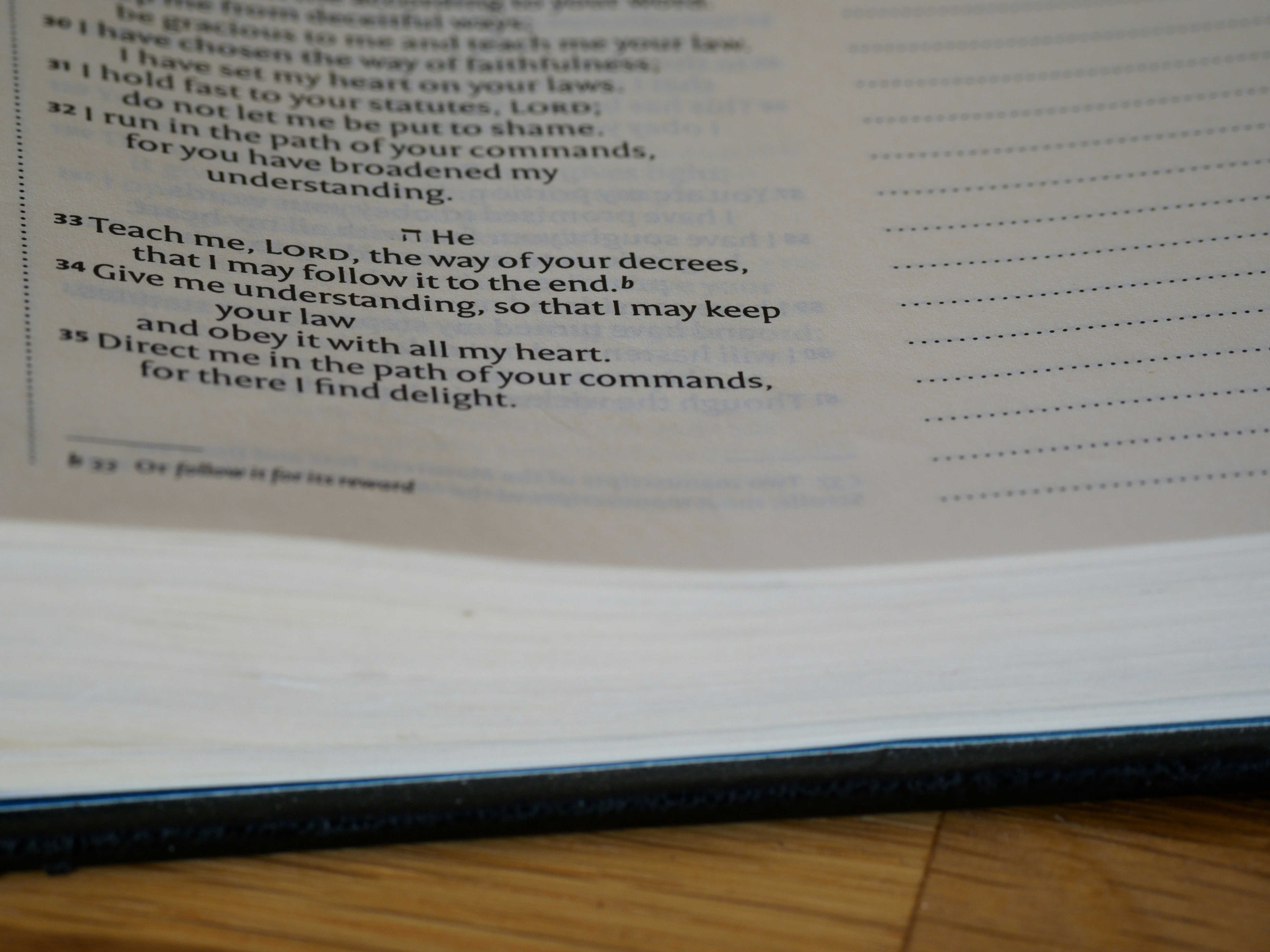 Photo by brett_jordan