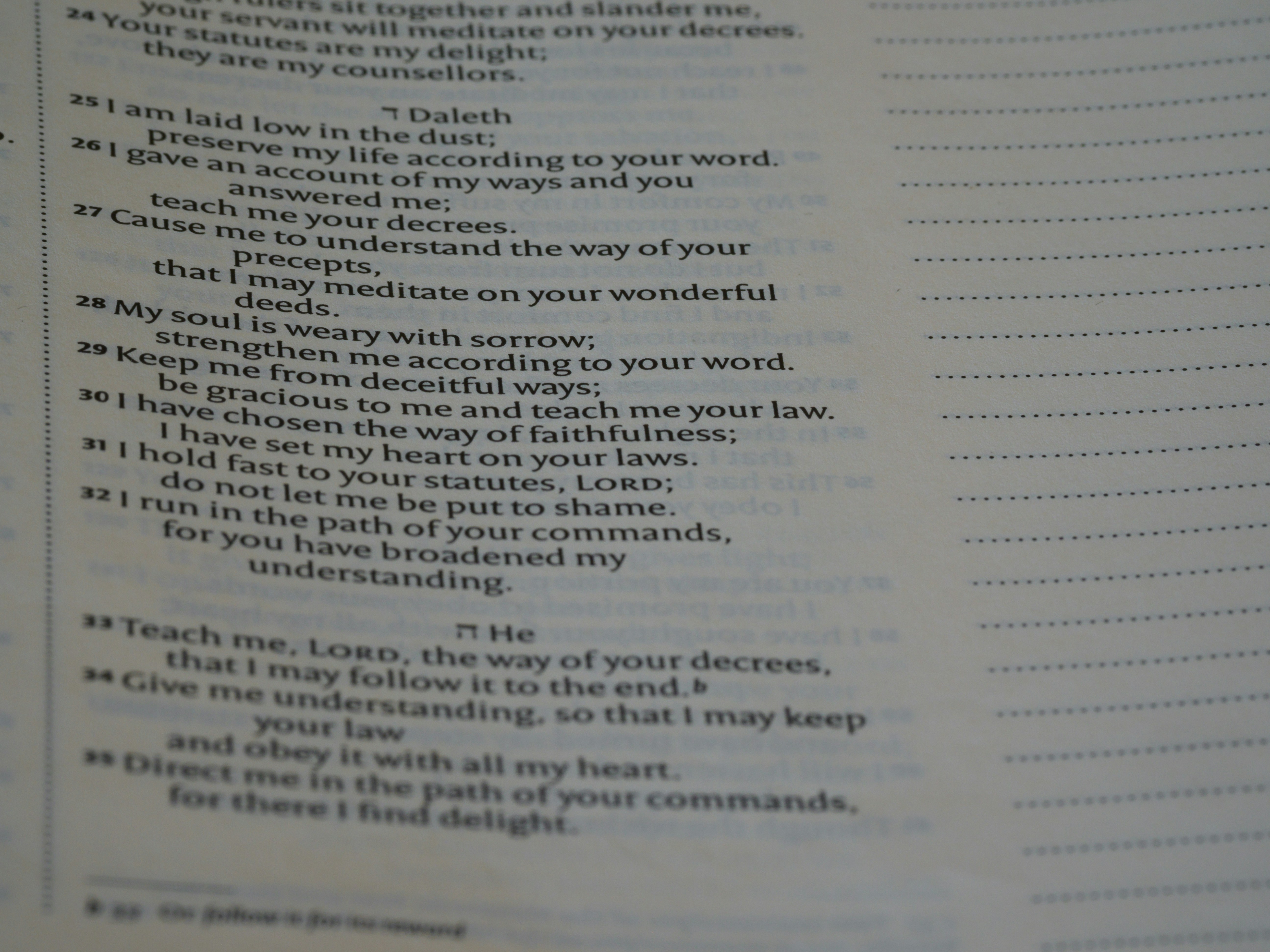 Photo by brett_jordan