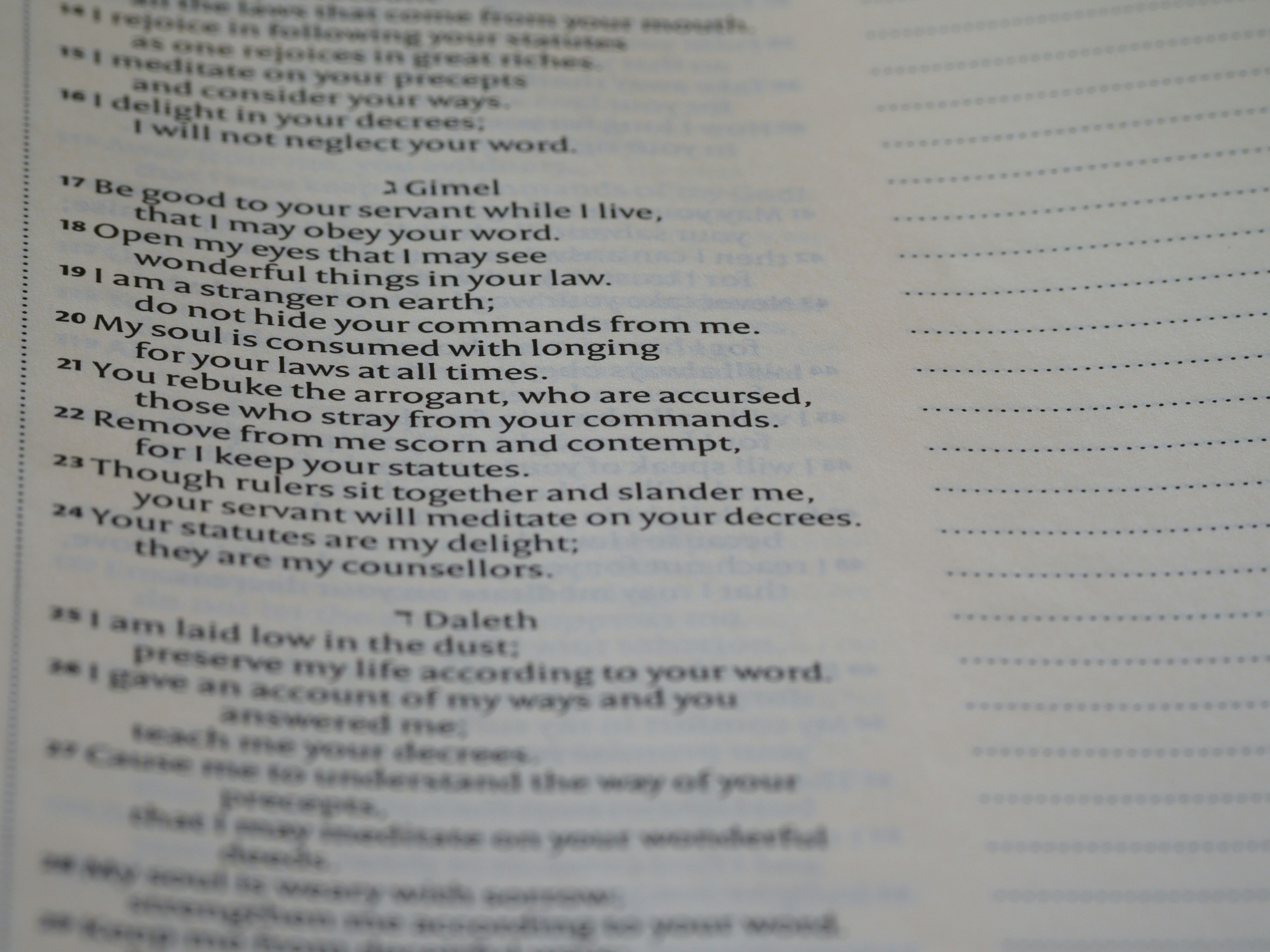 Photo by brett_jordan