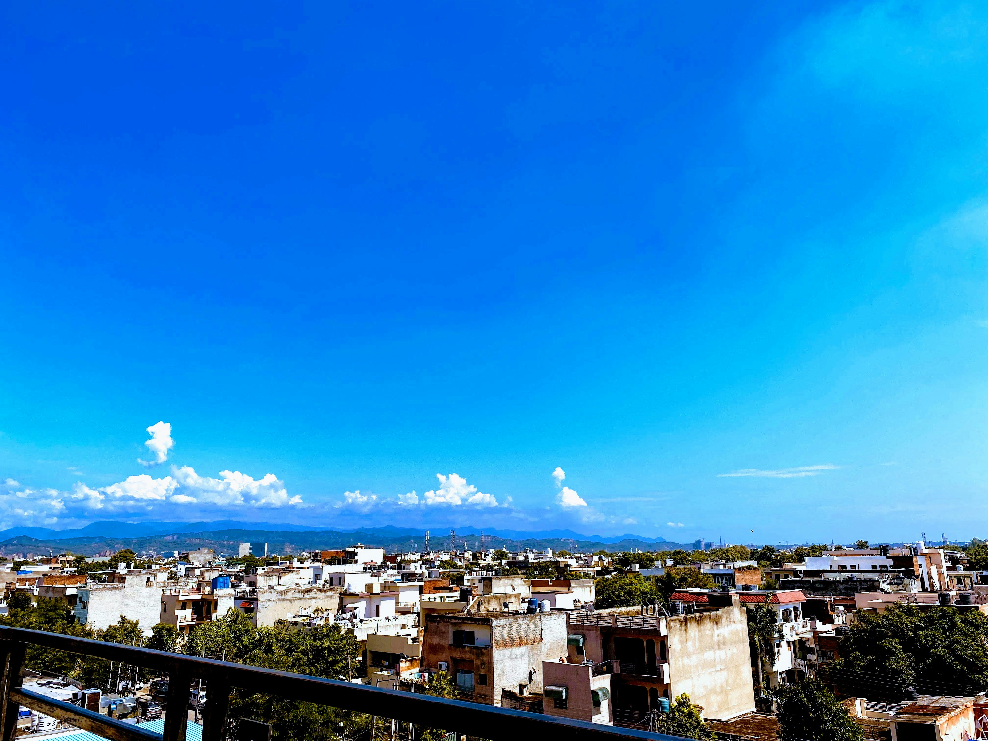 Photo by naturebyneha