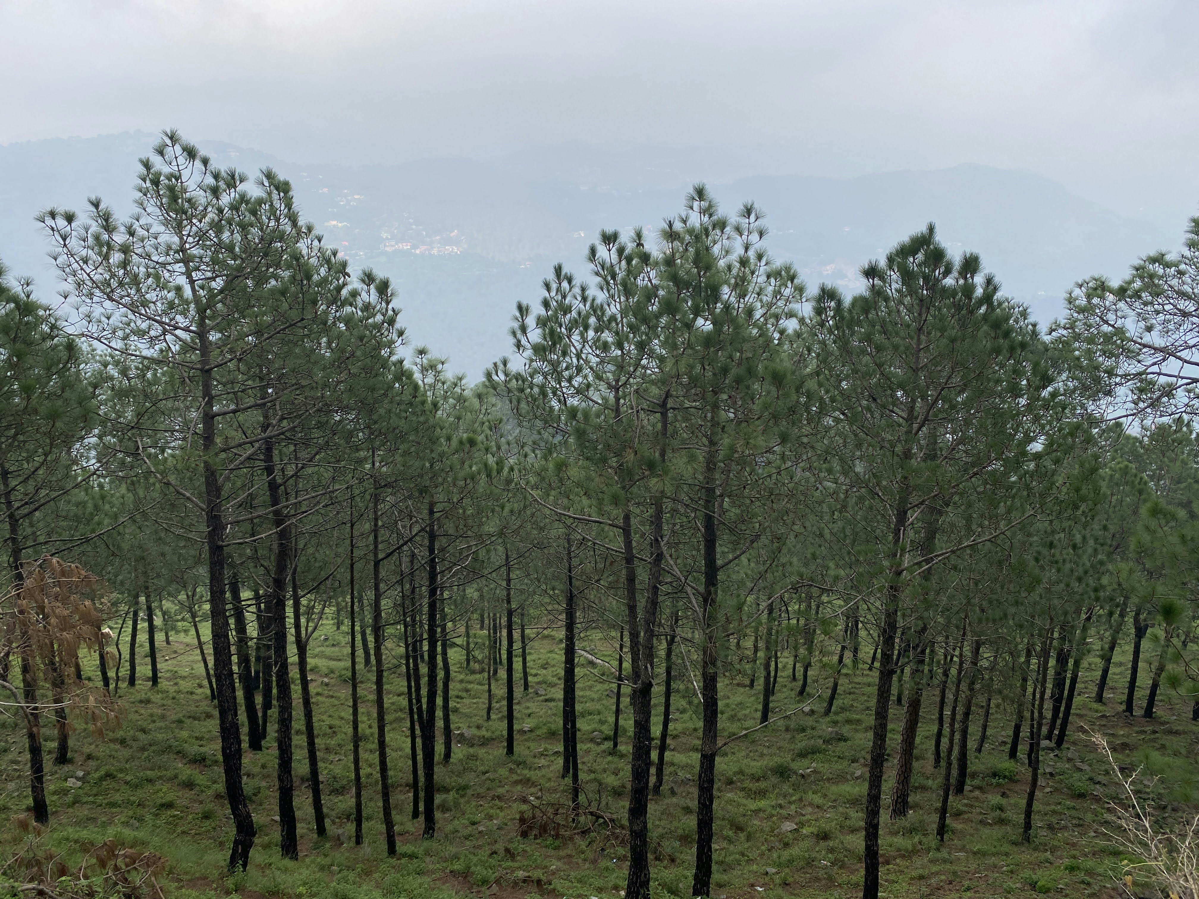 Photo by naturebyneha