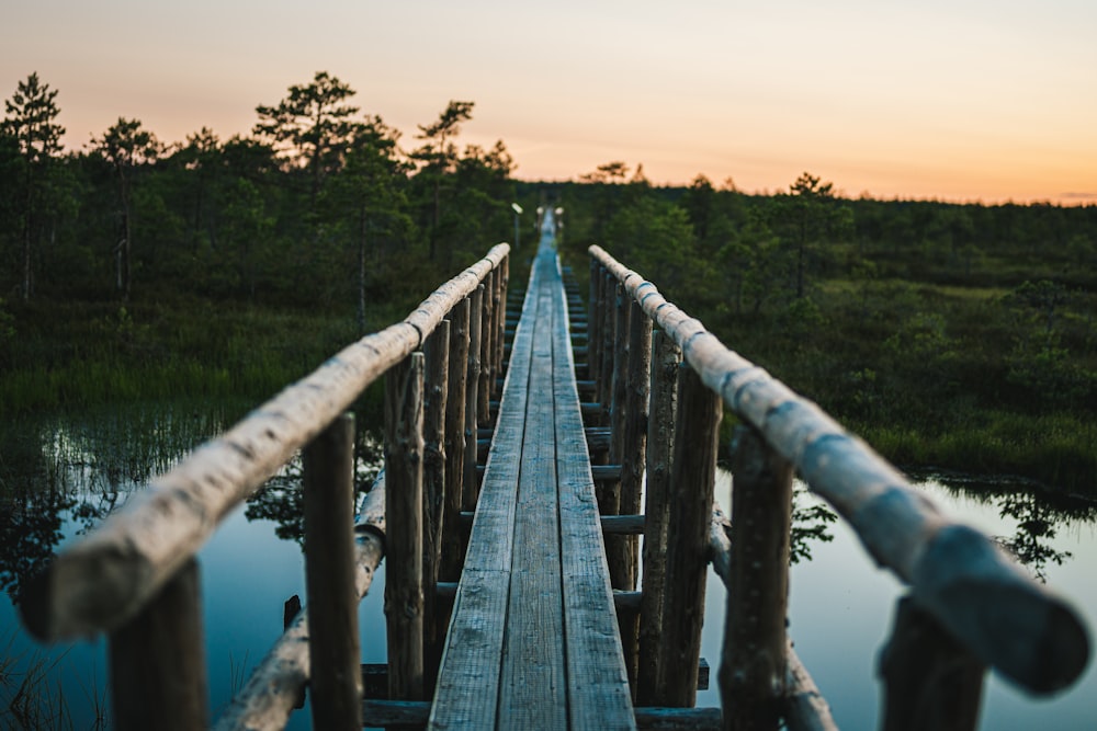 a bridge over a river