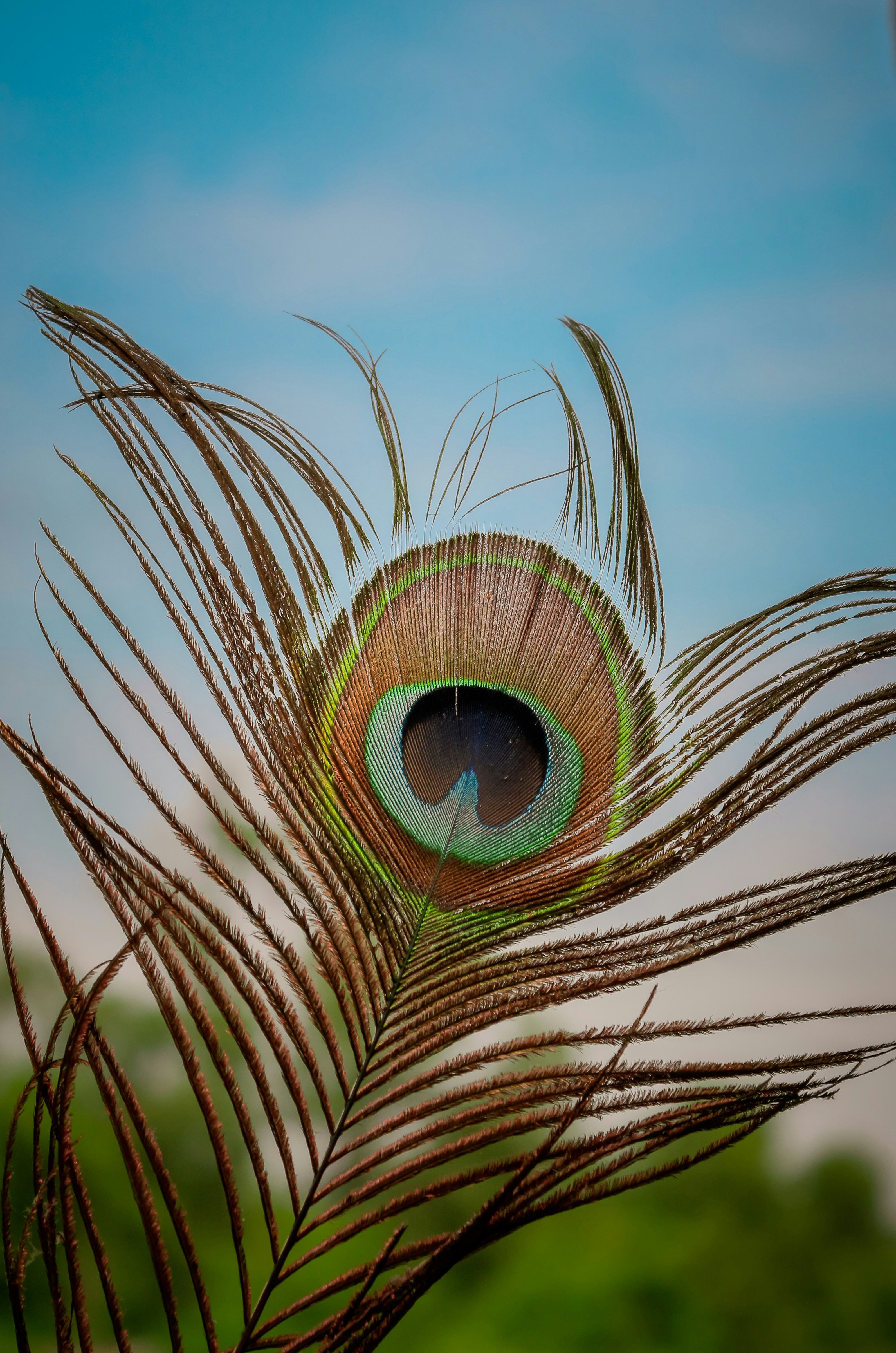 Biswanath Mahato (@itsbiswanath) | Unsplash Photo Community