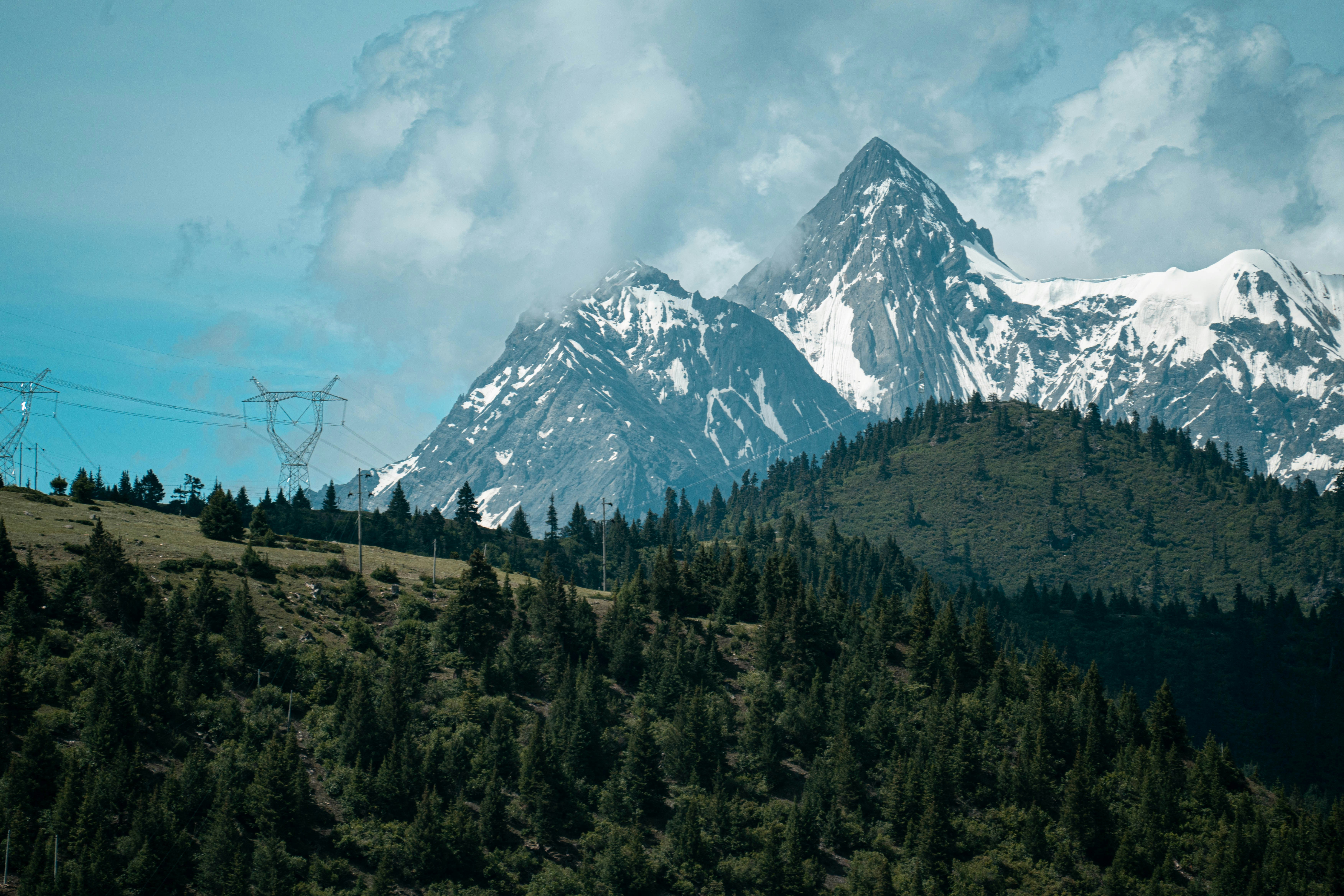 Photo by ljdphotographer