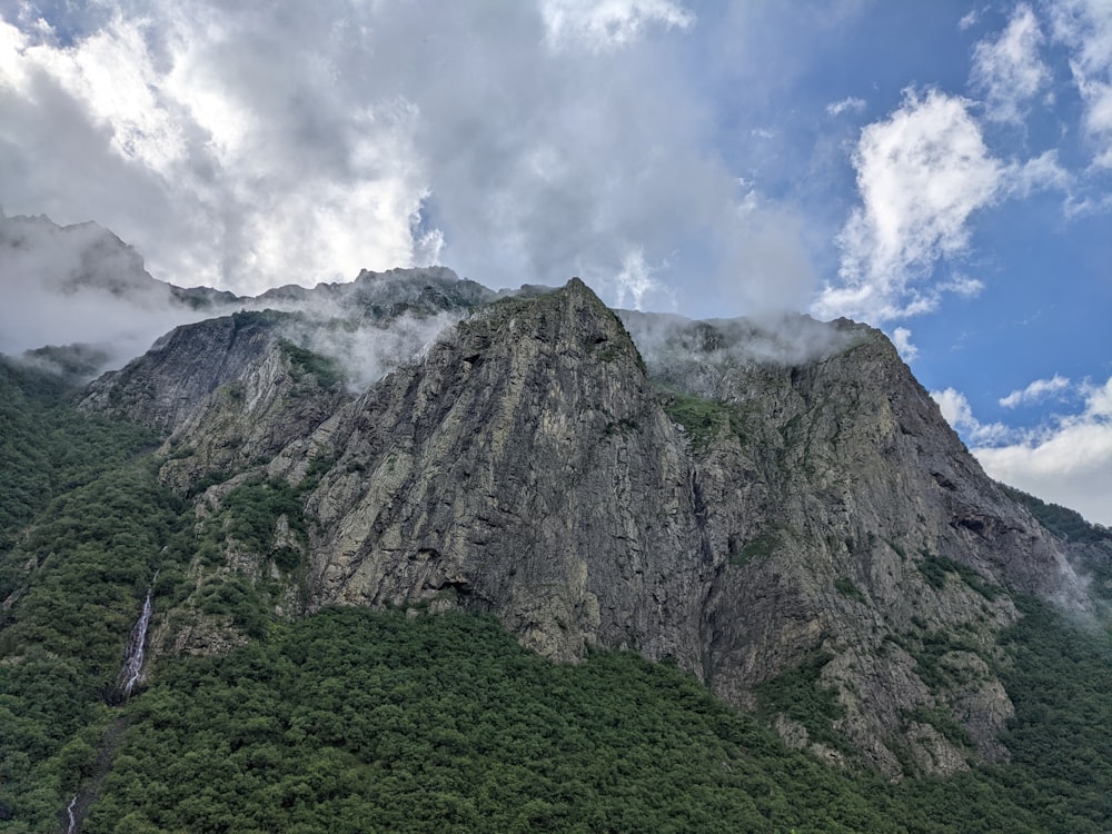 a mountain with trees on it