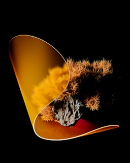 A striking image features a textured, earthy object resembling a rock or tree bark, intertwined with vibrant, fluffy orange foliage. The scene is partially enveloped by a glossy, curled sheet with a gradient of warm colors, creating a blend of natural and surreal elements against a stark black background.
