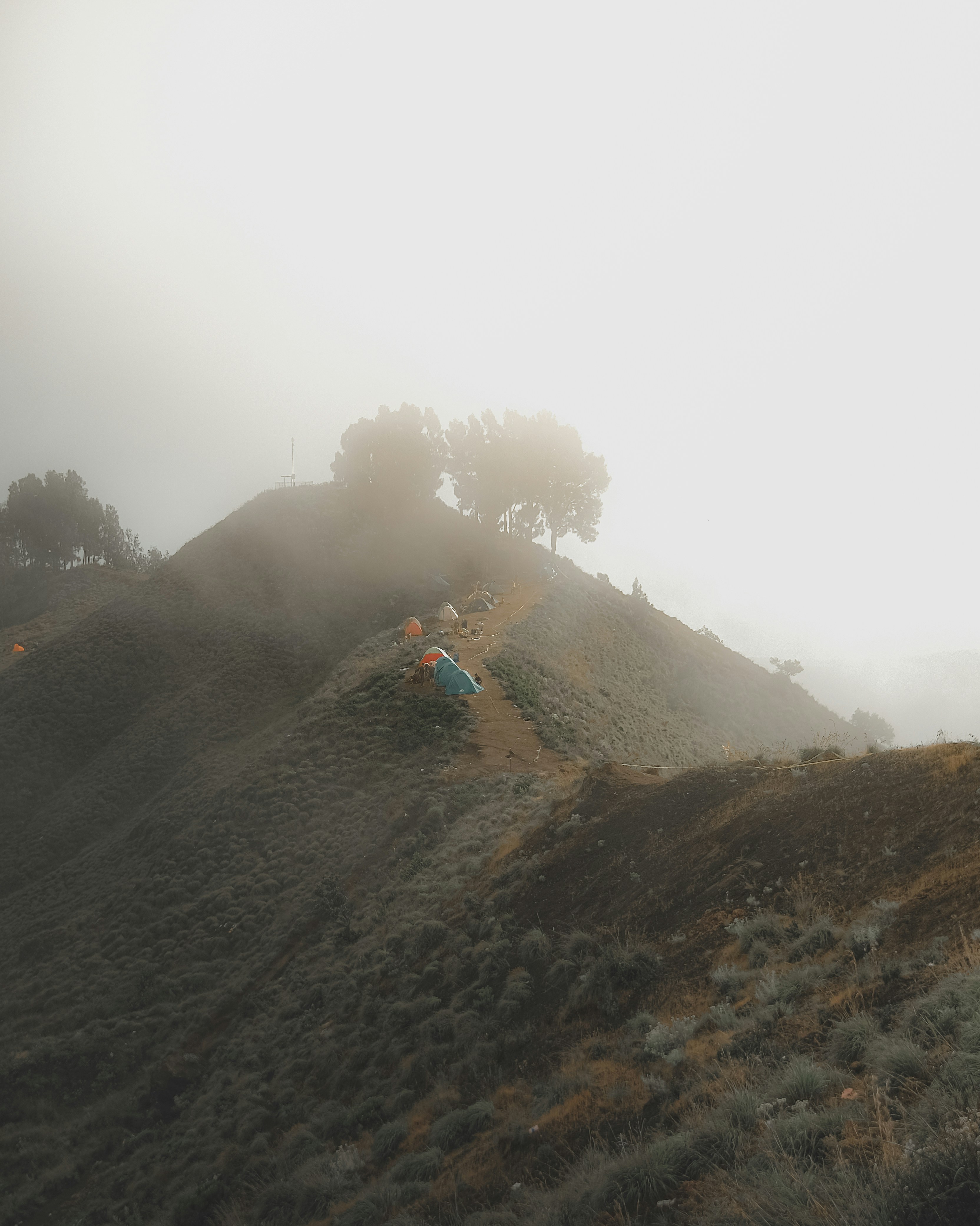 Photo by aryakrisdyantara