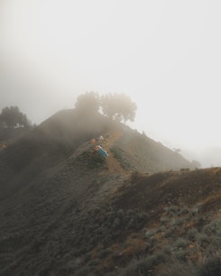 a group of people on a hill