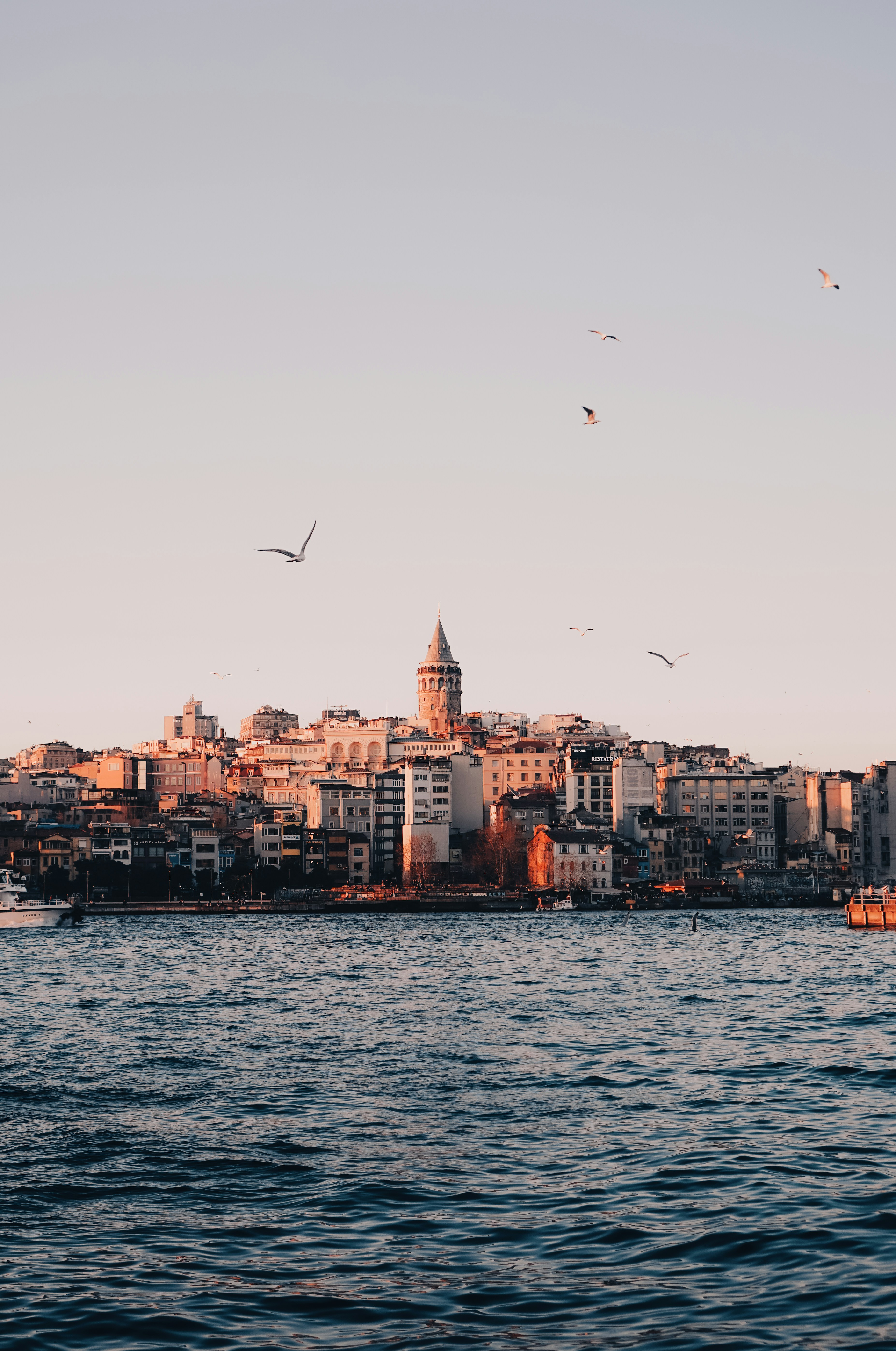 Photo by abdullahalmallah