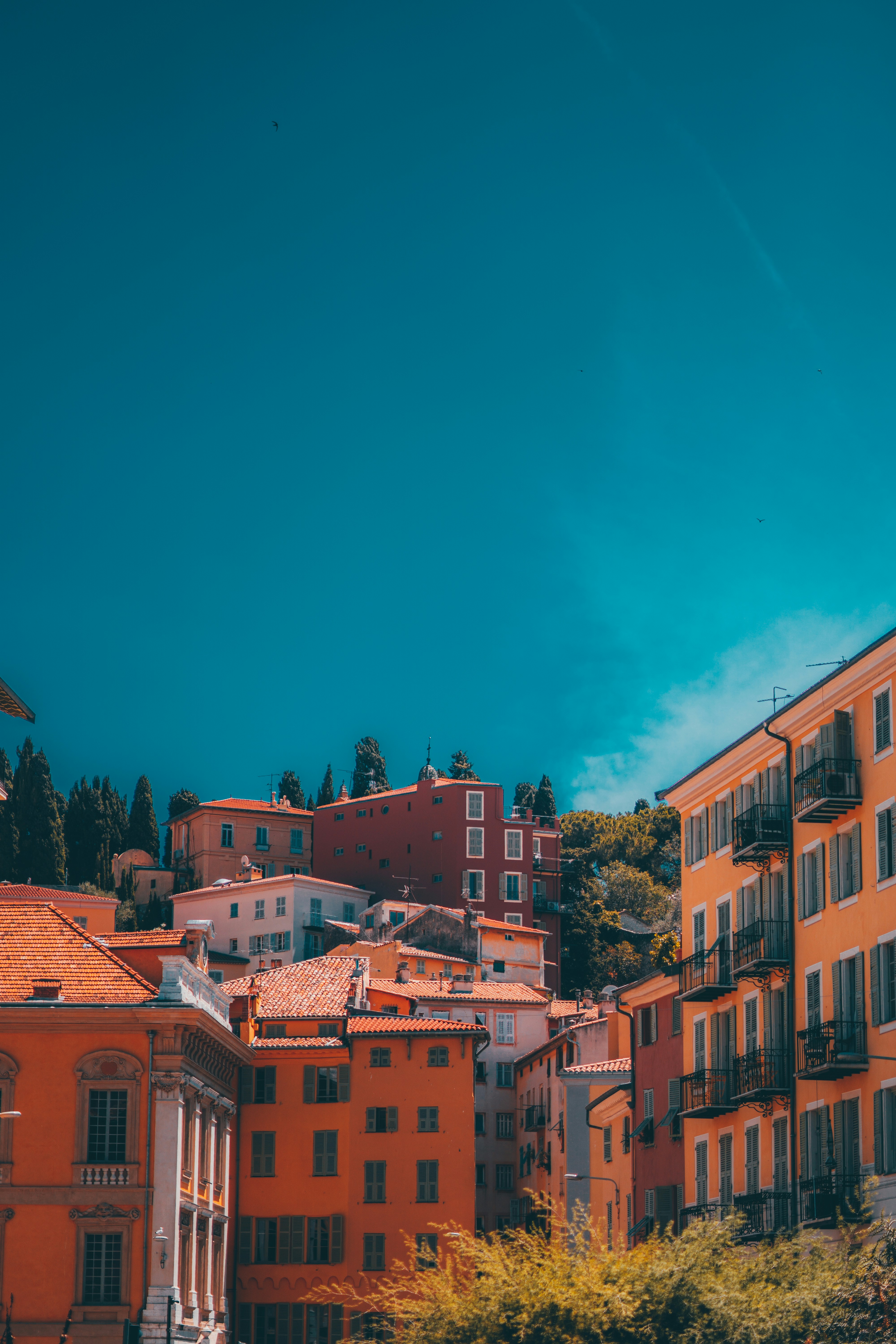 Photo by graphistedubinks