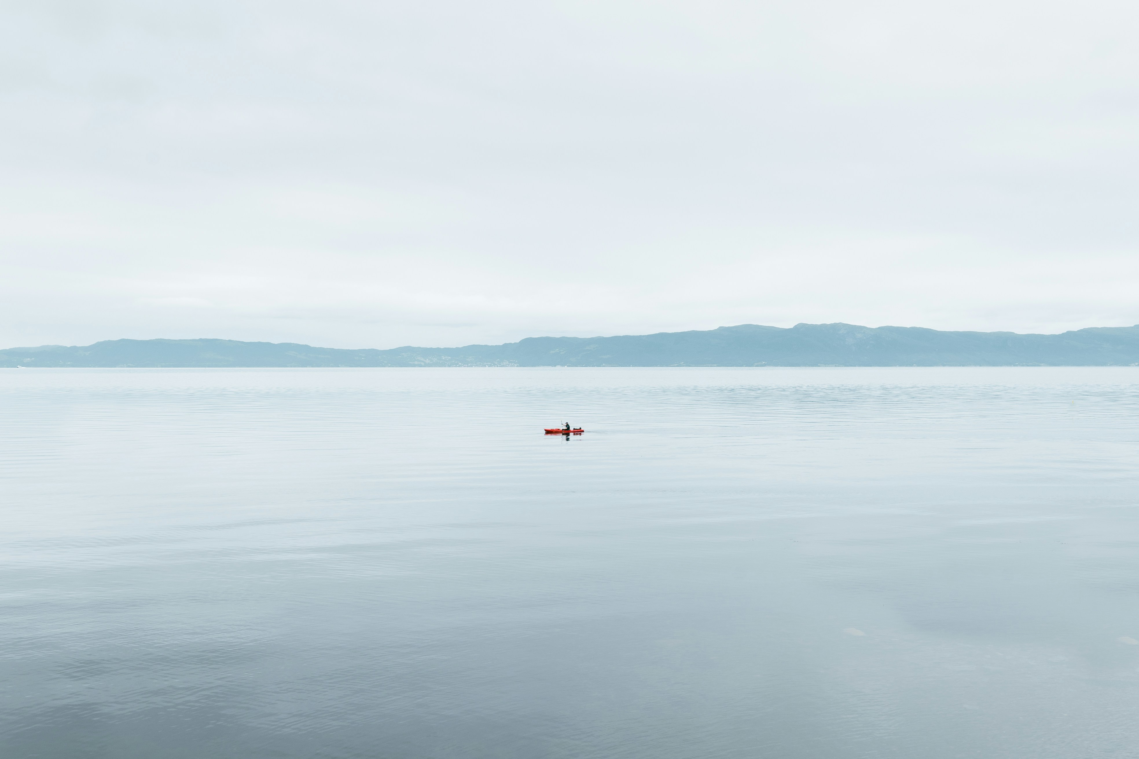 Photo by stevenerixon