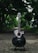 A black acoustic guitar stands upright on a support in the middle of a serene pathway lined with lush green trees. The background is out of focus, adding depth and highlighting the glossy texture of the guitar.