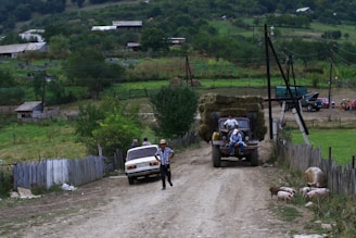 A rural scene with a dirt road where a car is parked on one side and a tractor with hay bales is being driven down the road. Several people are interacting near the car, and pigs are wandering on the roadside. The background features lush greenery, farmhouses, and some distant hills.
