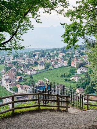 a town with a fence and trees