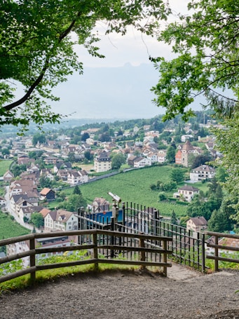 a town with a fence and trees