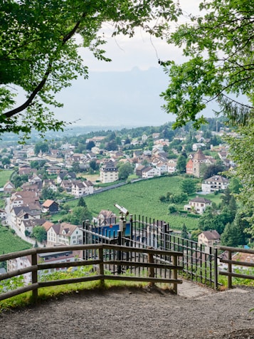 a town with a fence and trees