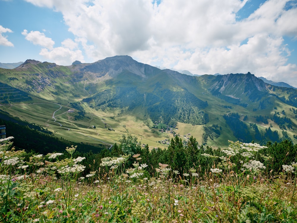 a valley with trees and mountains in the background