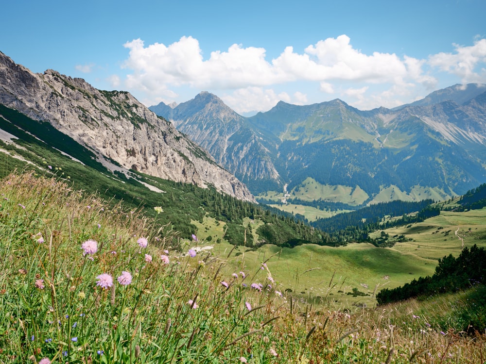 a grassy valley with mountains in the background