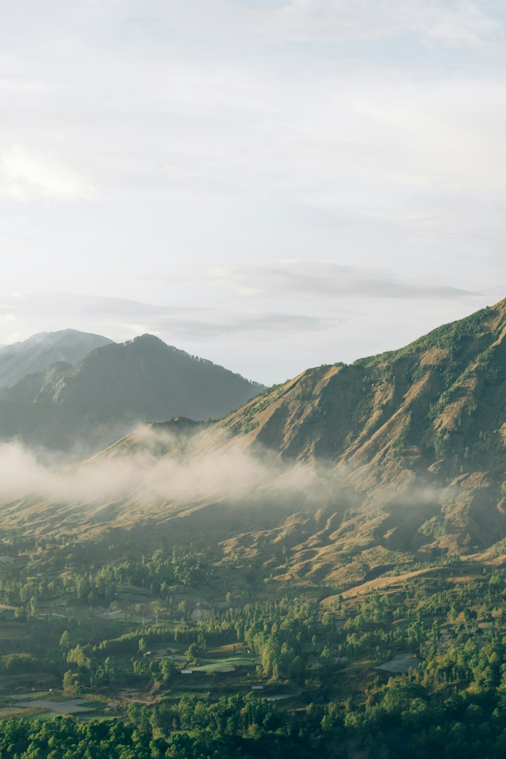 a valley with trees and mountains in the background