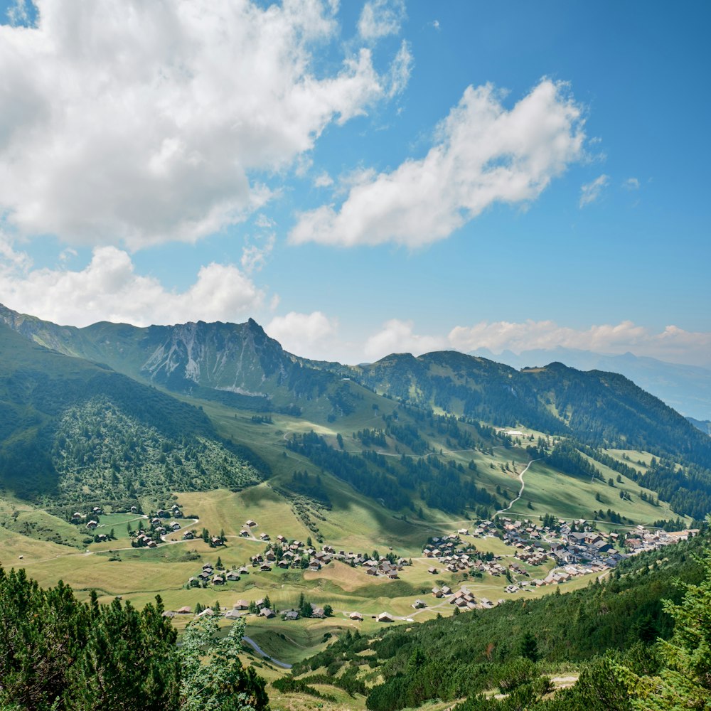 a valley with trees and mountains in the background