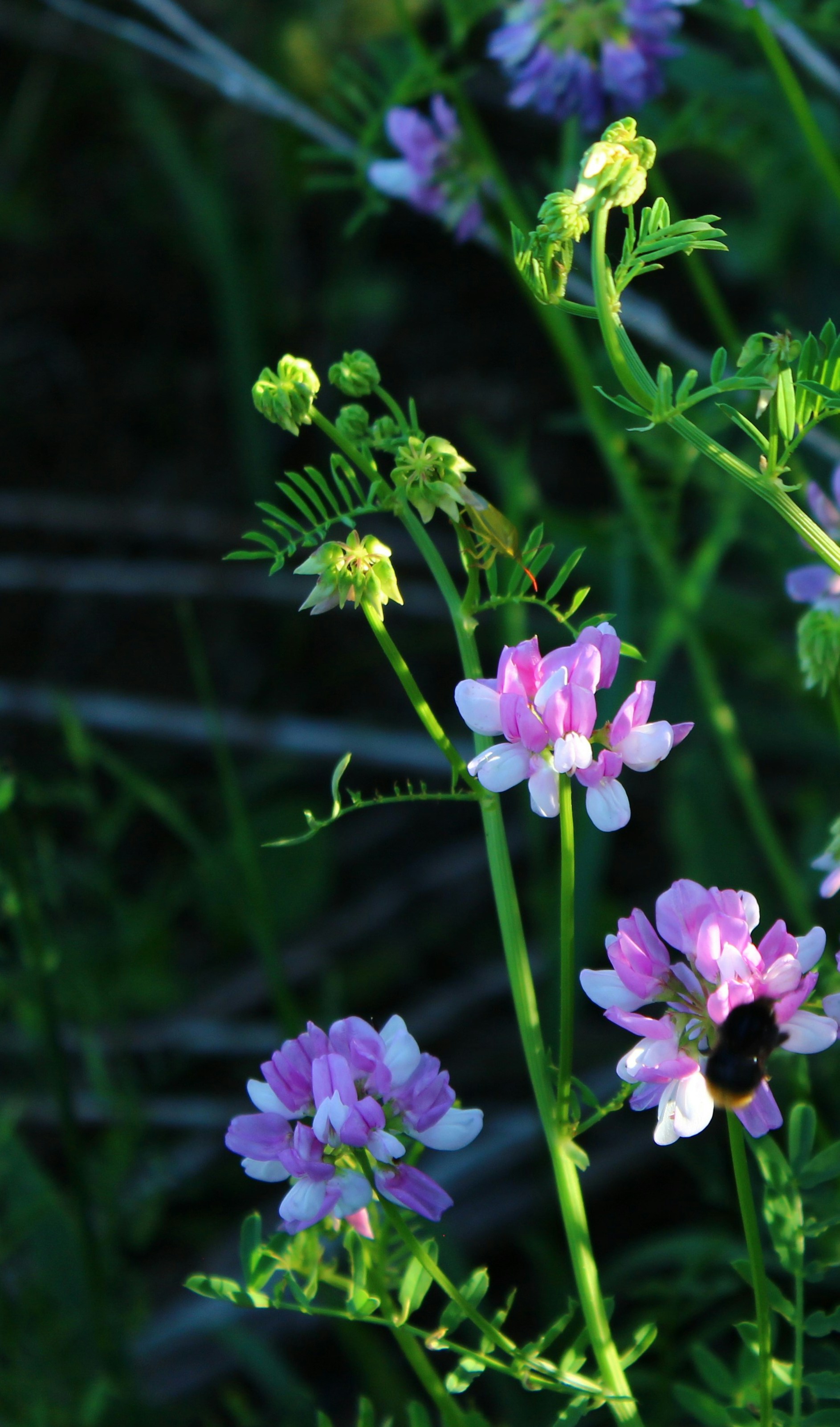 Photo by yoursadclown