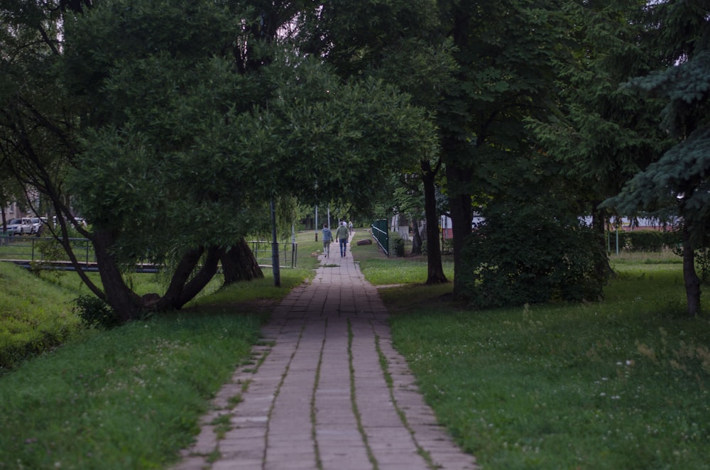 Un camino a través de un parque
