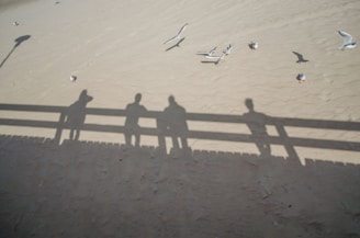 a group of people walking on a beach with a plane in the background