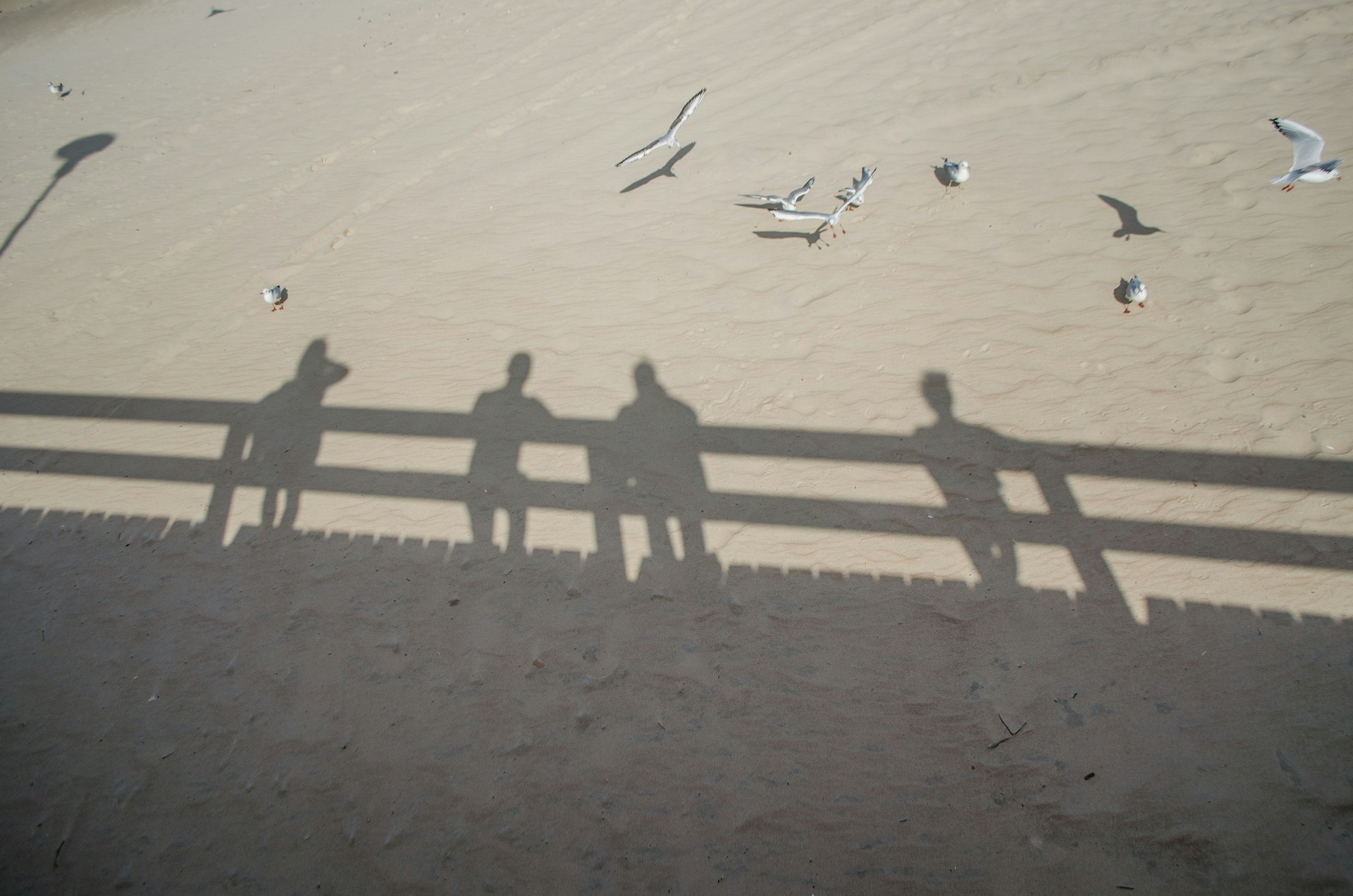 a group of people walking on a beach with a plane in the background
