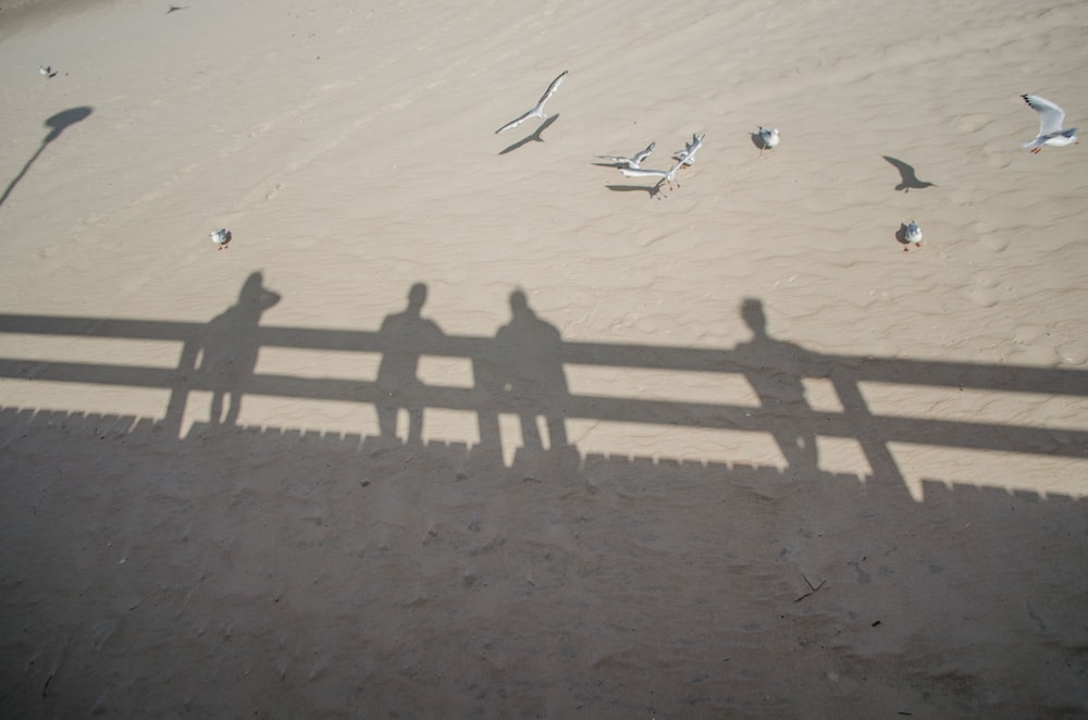 a group of people walking on a beach with a plane in the background