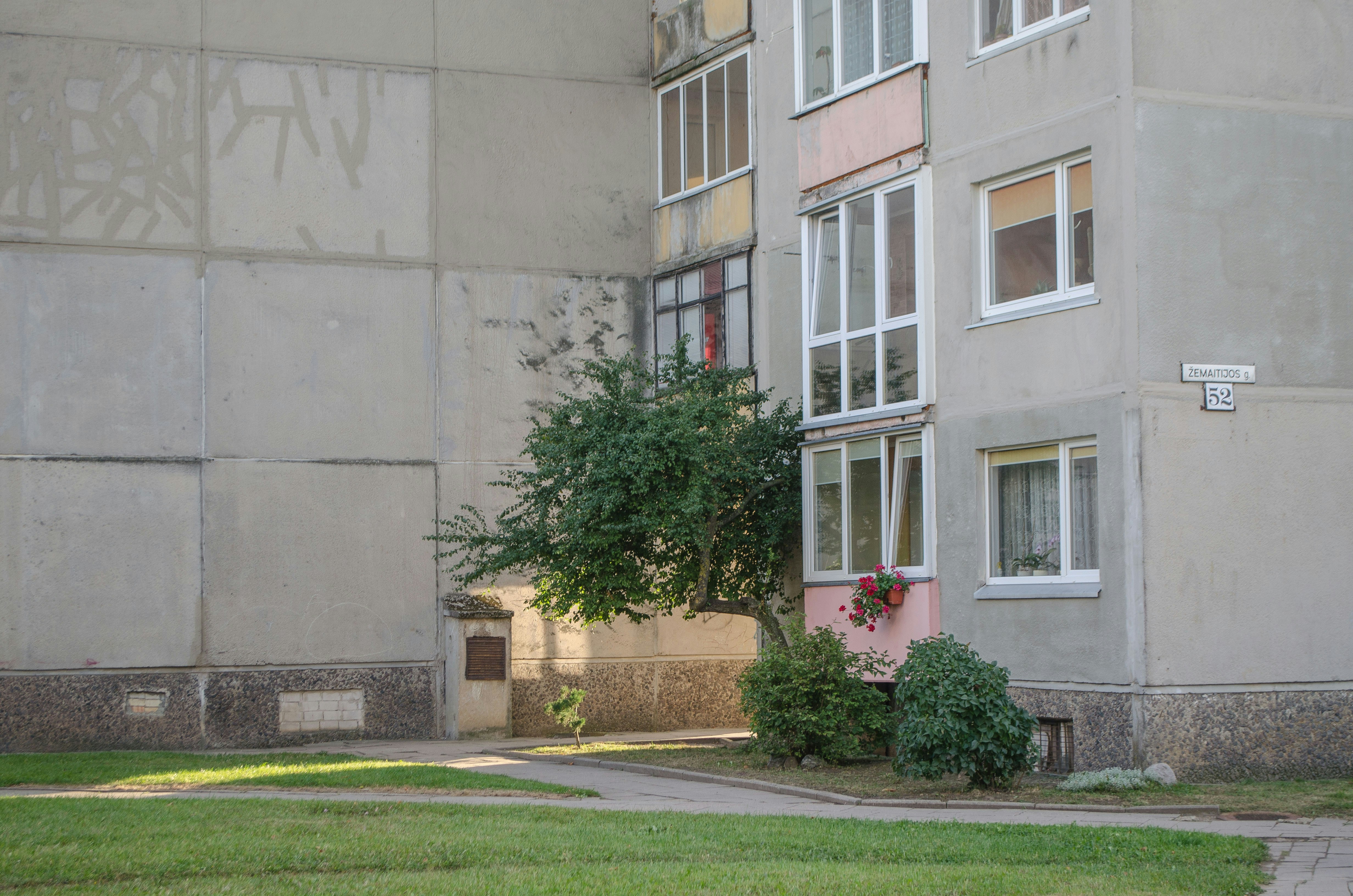 Photo by kotrynajuskaite