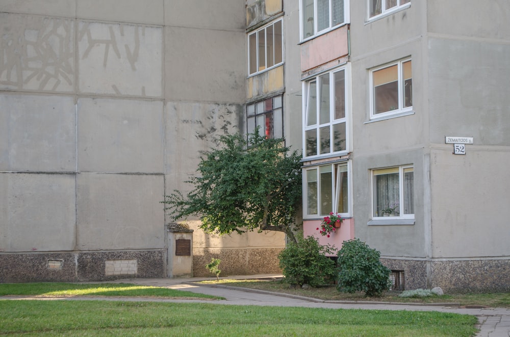 a tree in front of a building