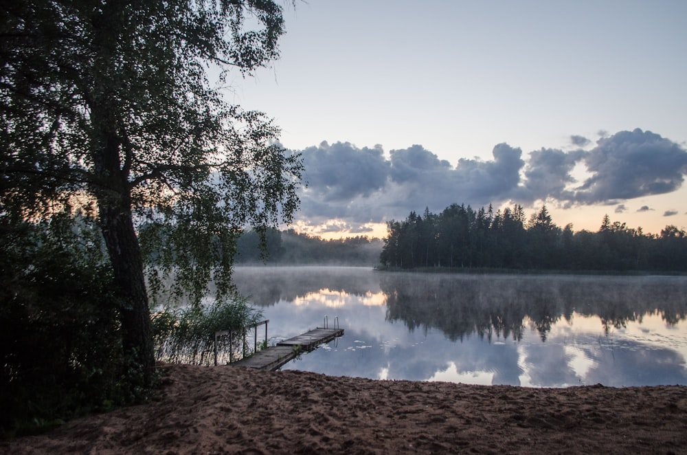 a lake with trees and a cloudy sky